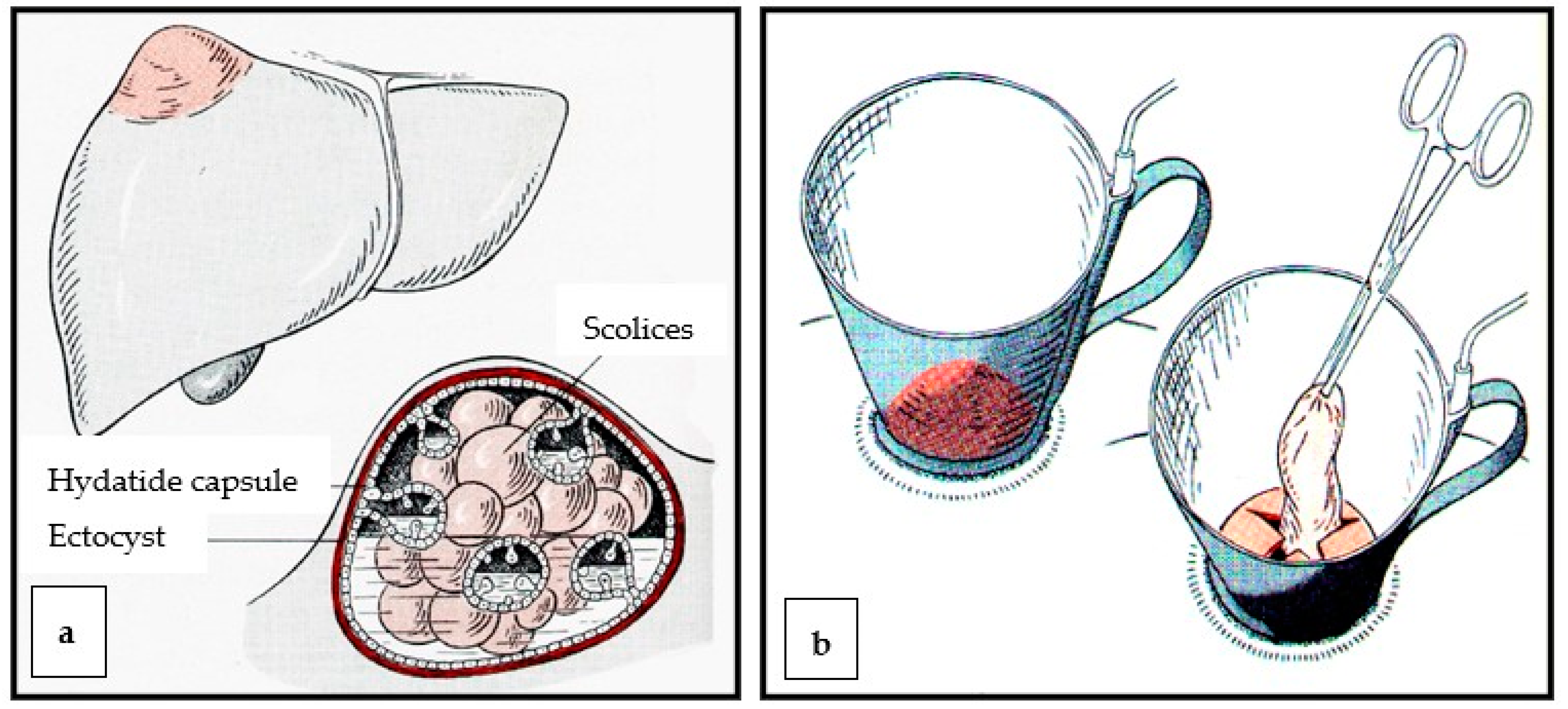 Diagnostics 13 01343 g004 Diagnostics 13 01343 g004