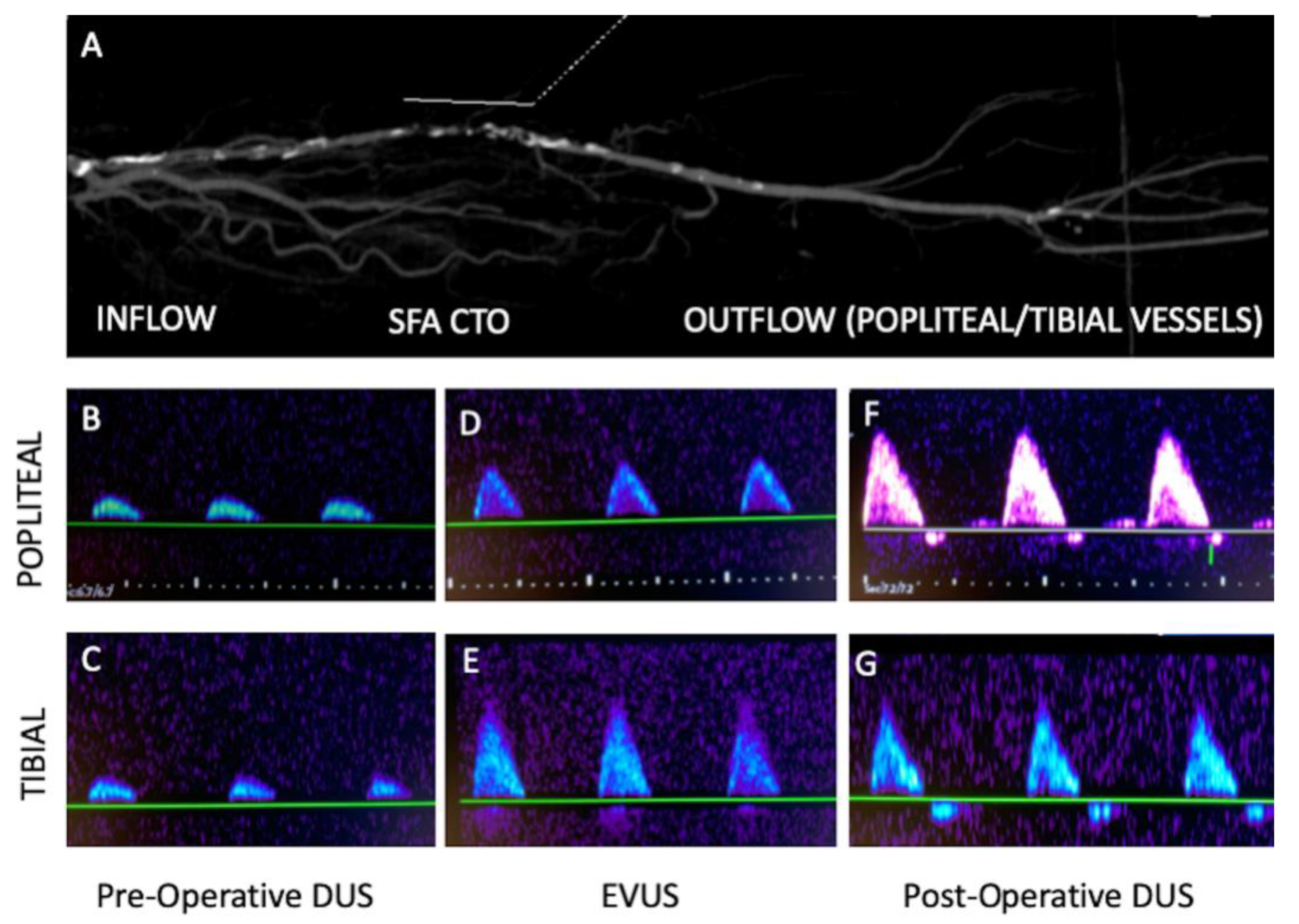 Diagnostics 13 01356 g006