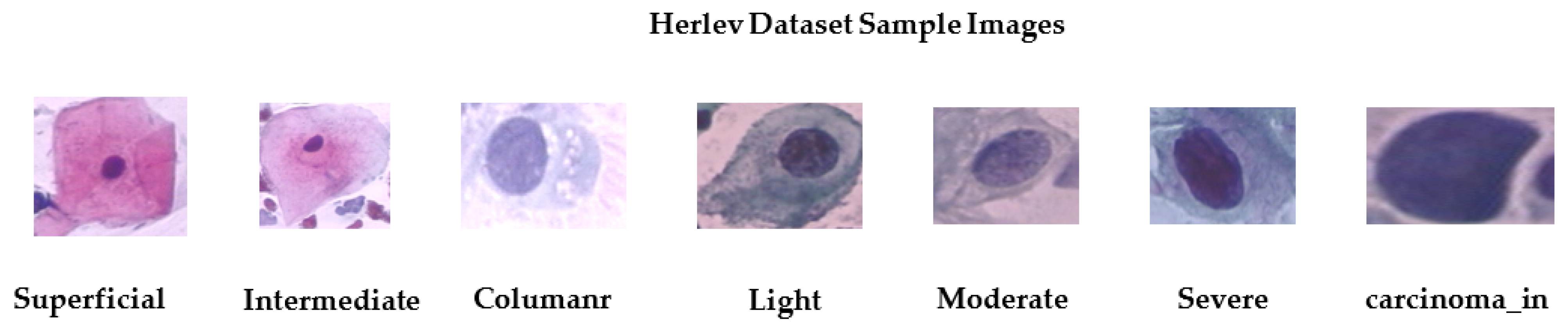 Diagnostics 13 01363 g004