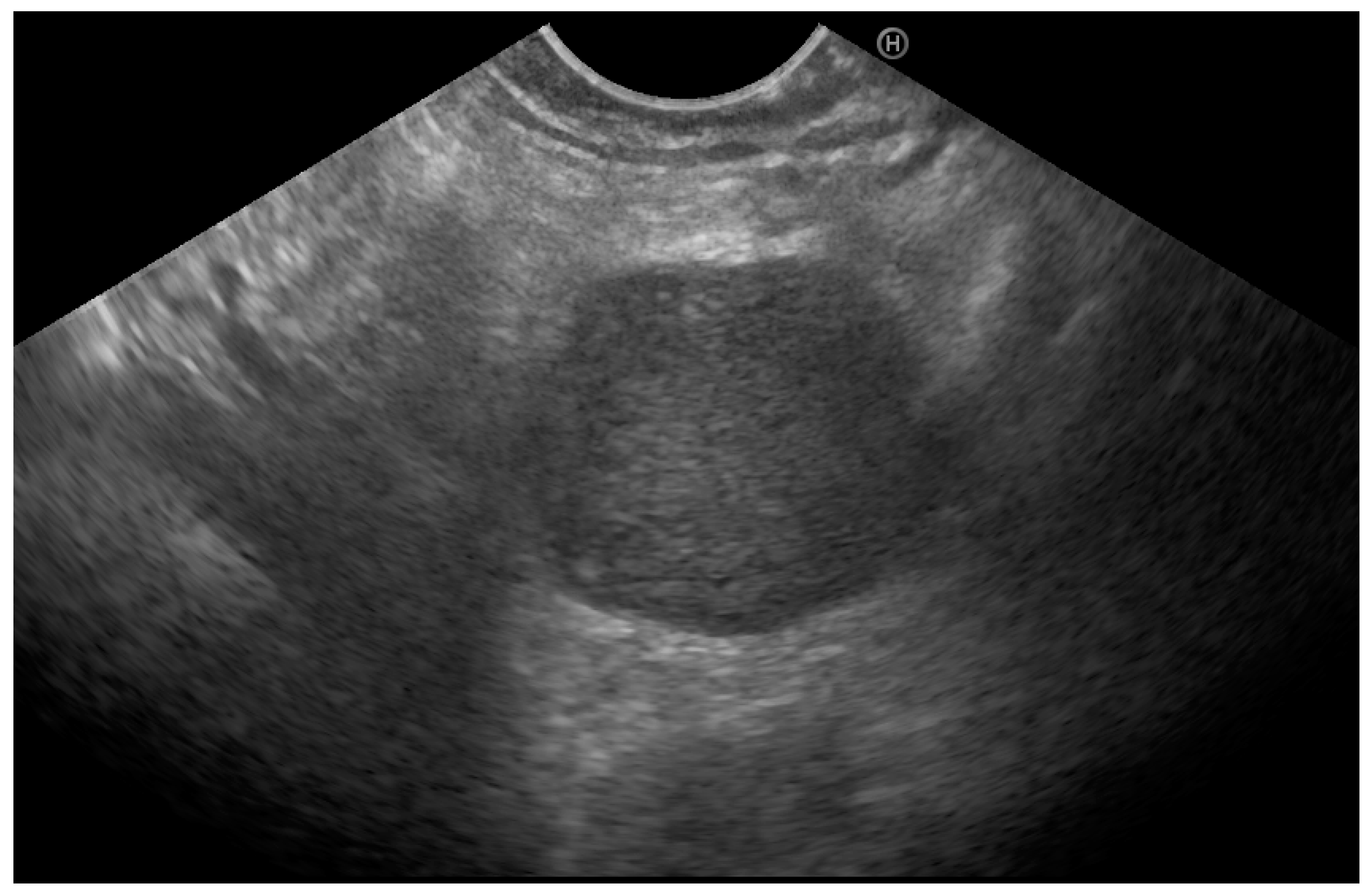 Diagnostics 13 01368 g003 Diagnostics 13 01368 g003