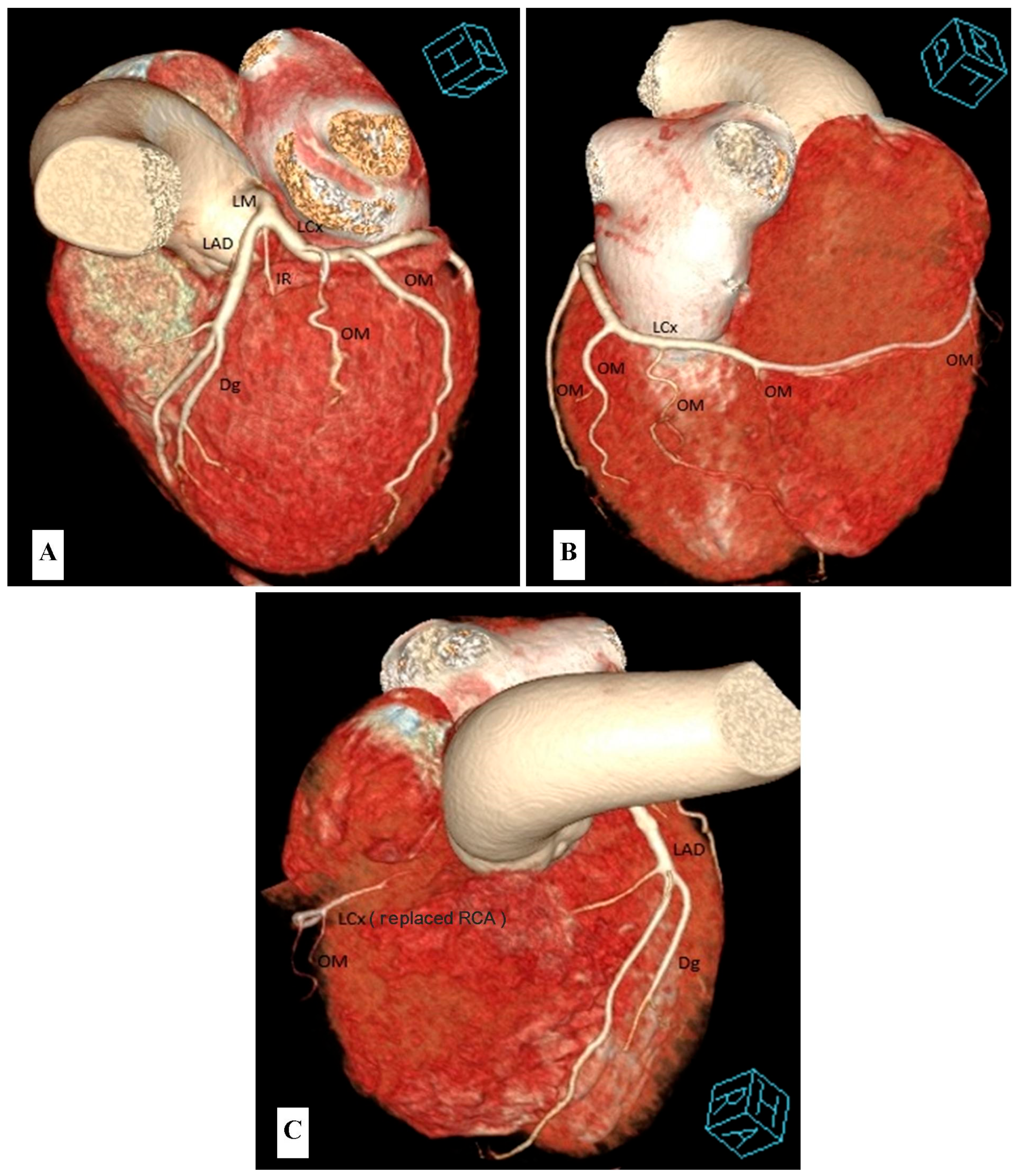 Diagnostics 13 01369 g002 550
