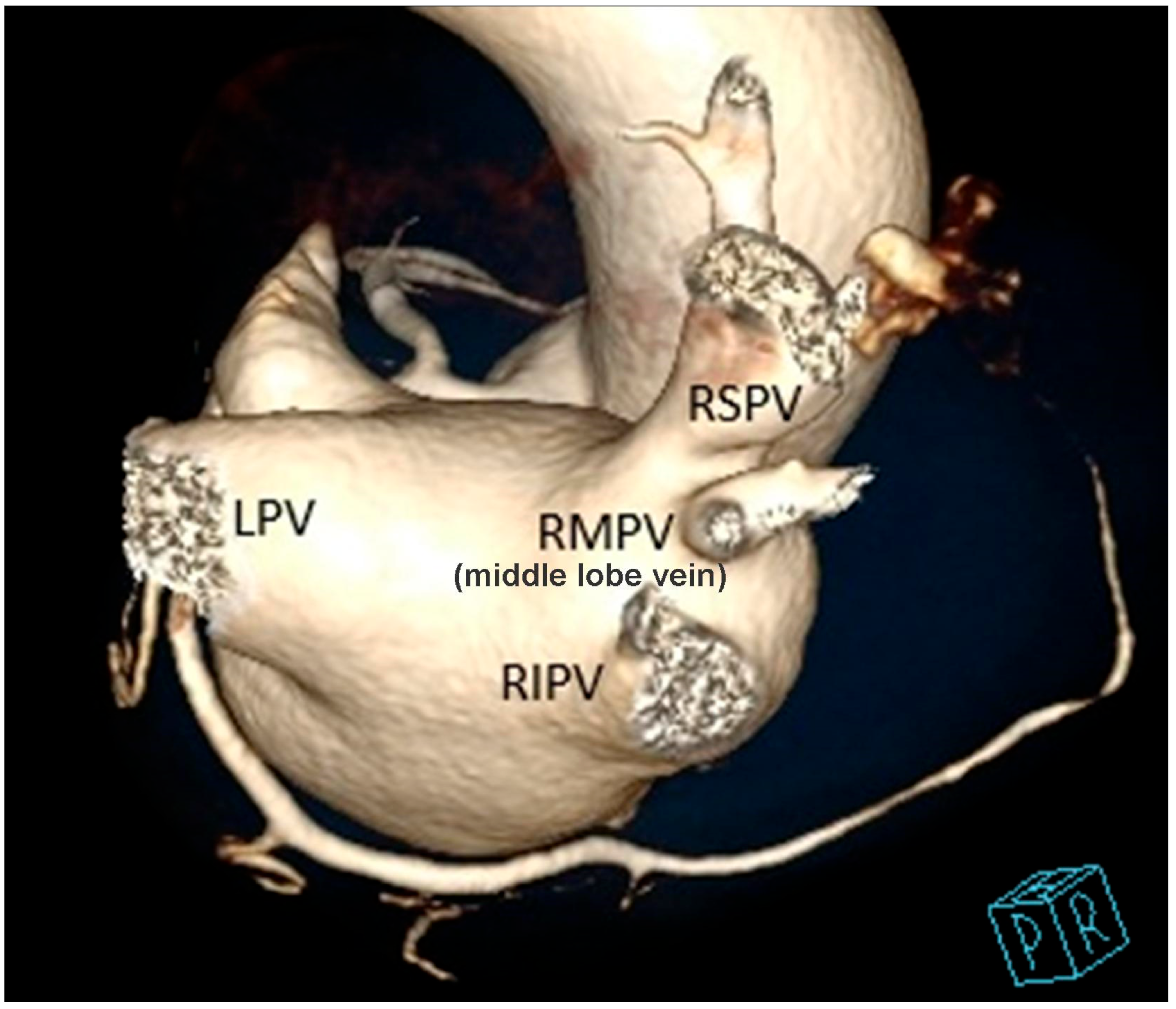 Diagnostics 13 01369 g005 550