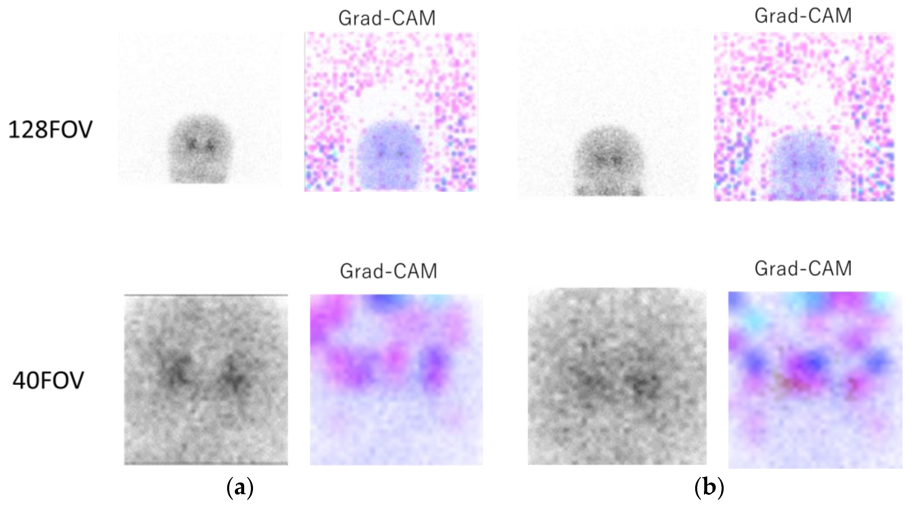 Diagnostics 13 01371 g004 Diagnostics 13 01371 g004
