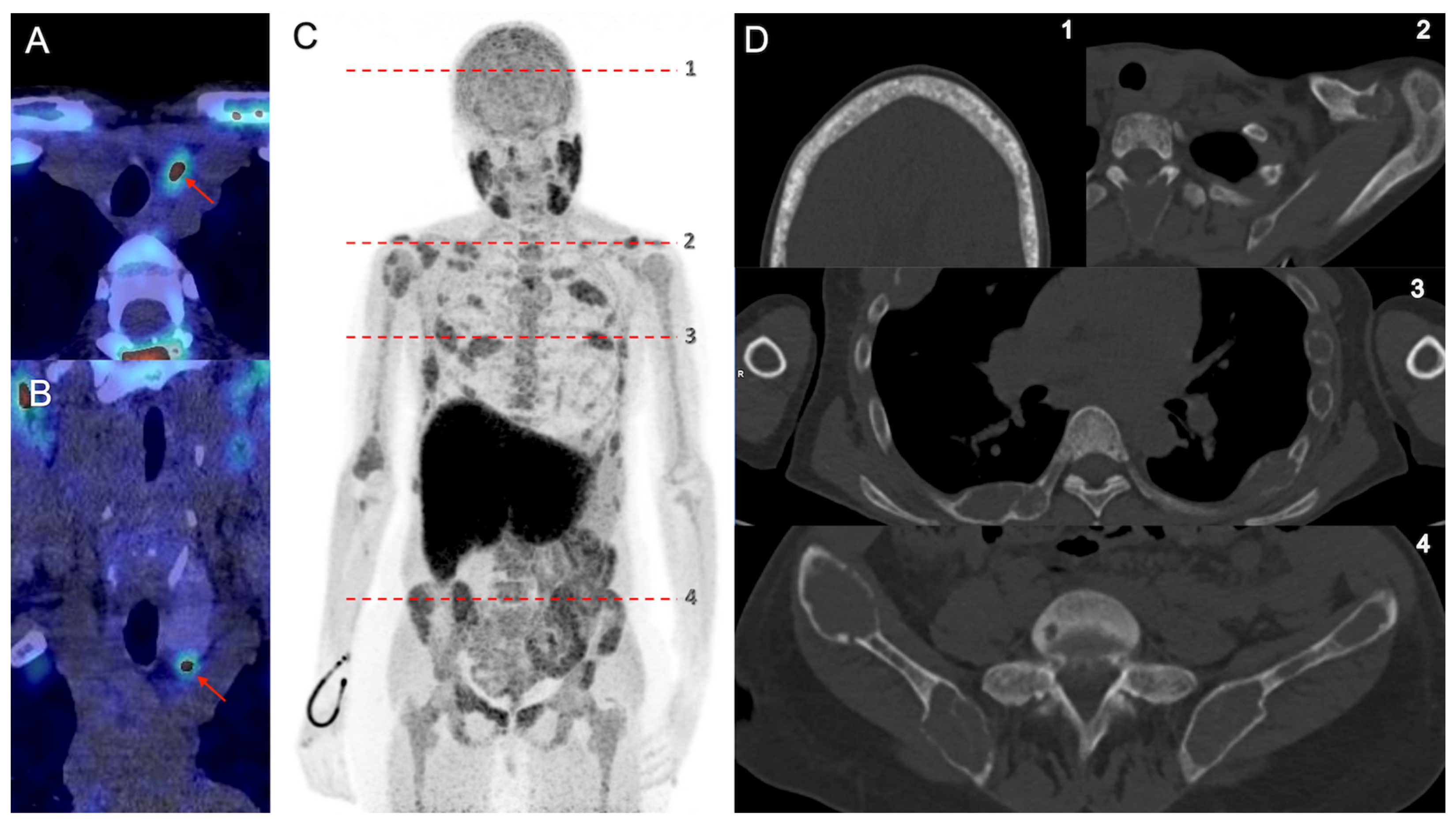 Diagnostics 13 01374 g002