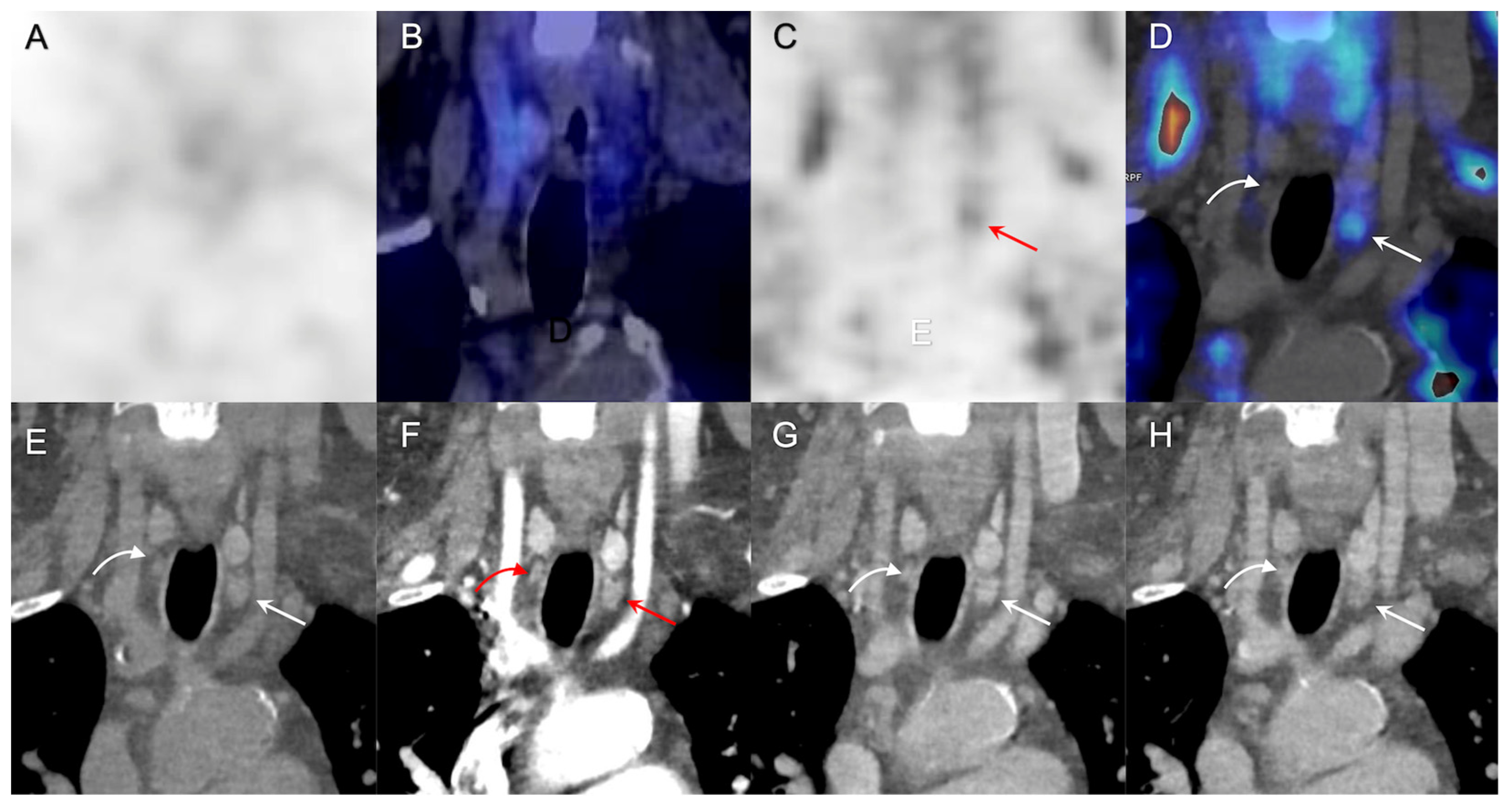 Diagnostics 13 01374 g003
