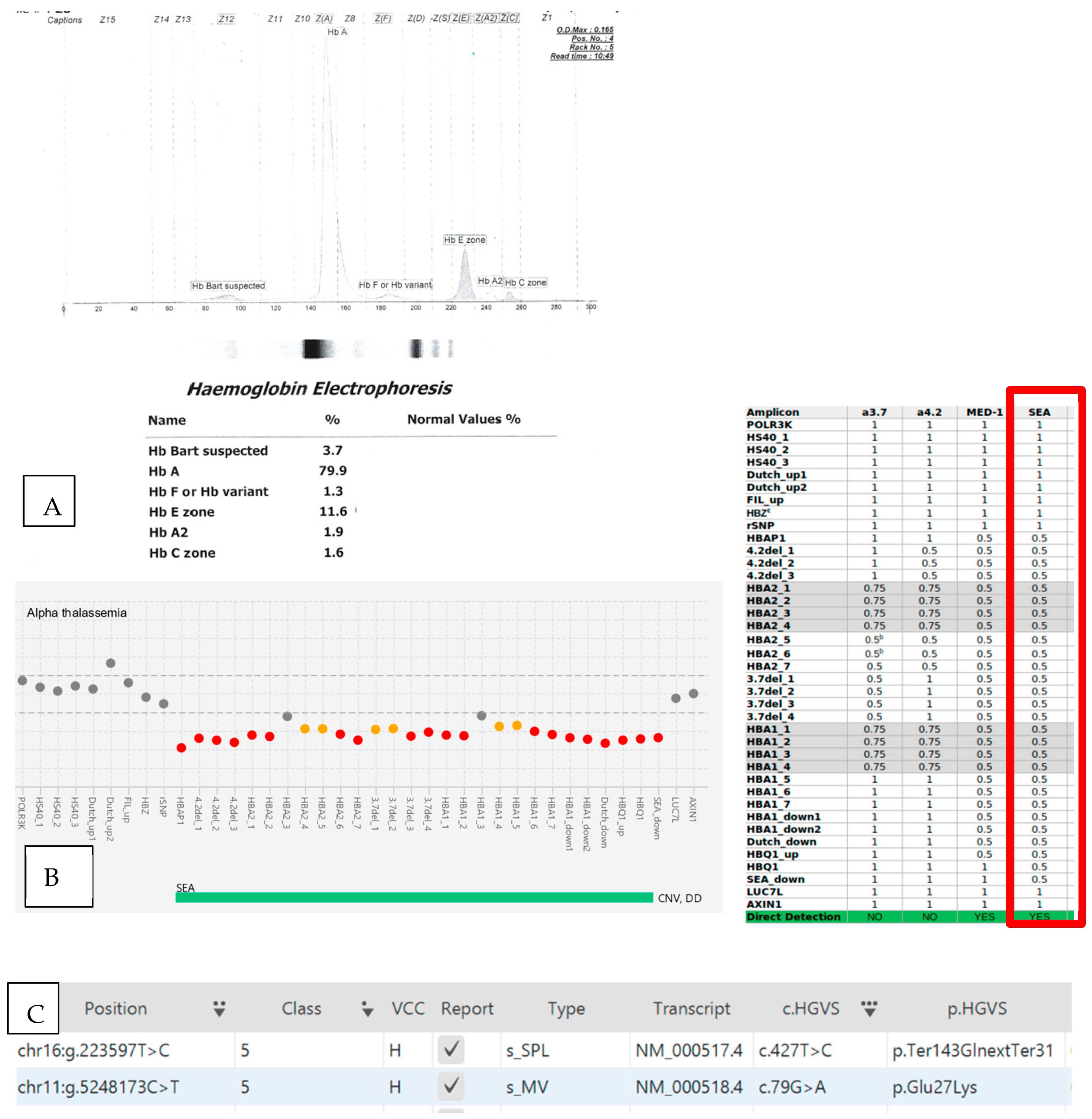Diagnostics 13 01379 g001 Diagnostics 13 01379 g001