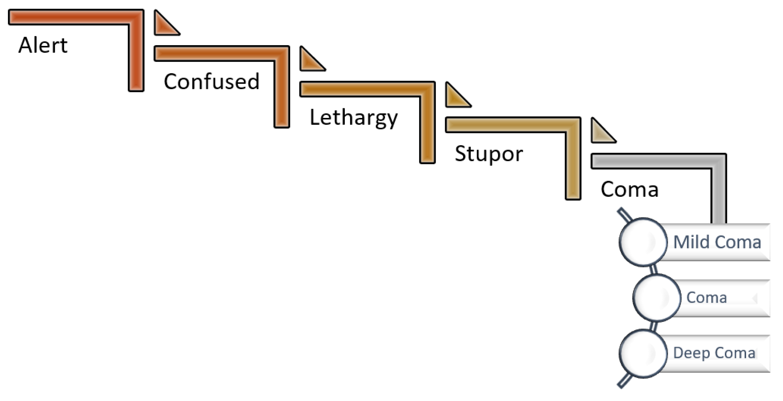 Diagnostics Free FullText Quantitative Electroencephalography