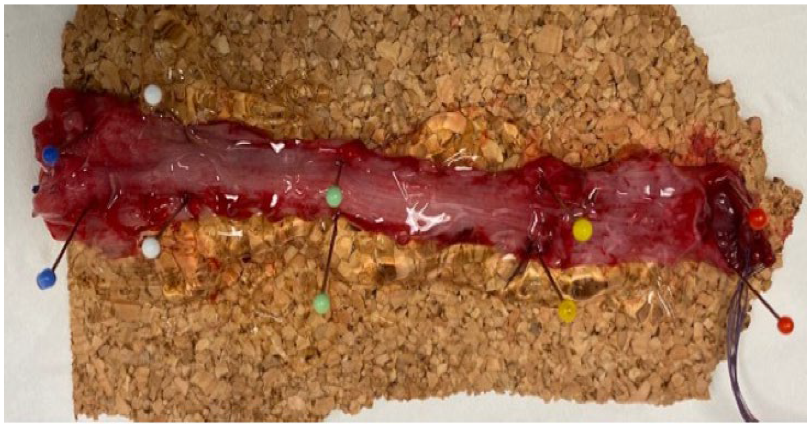 Diagnostics 13 01388 g001 Diagnostics 13 01388 g001