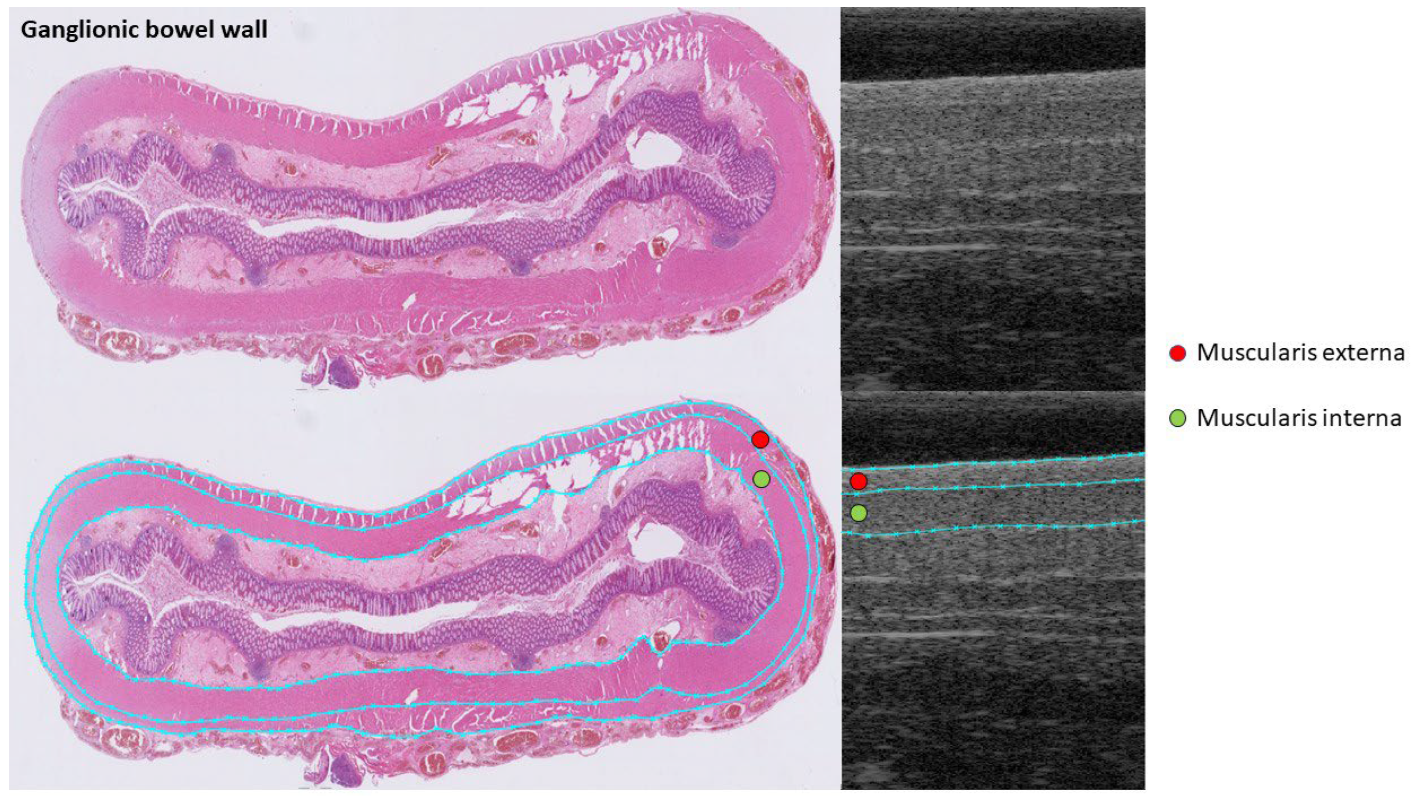 Diagnostics 13 01388 g002 Diagnostics 13 01388 g002