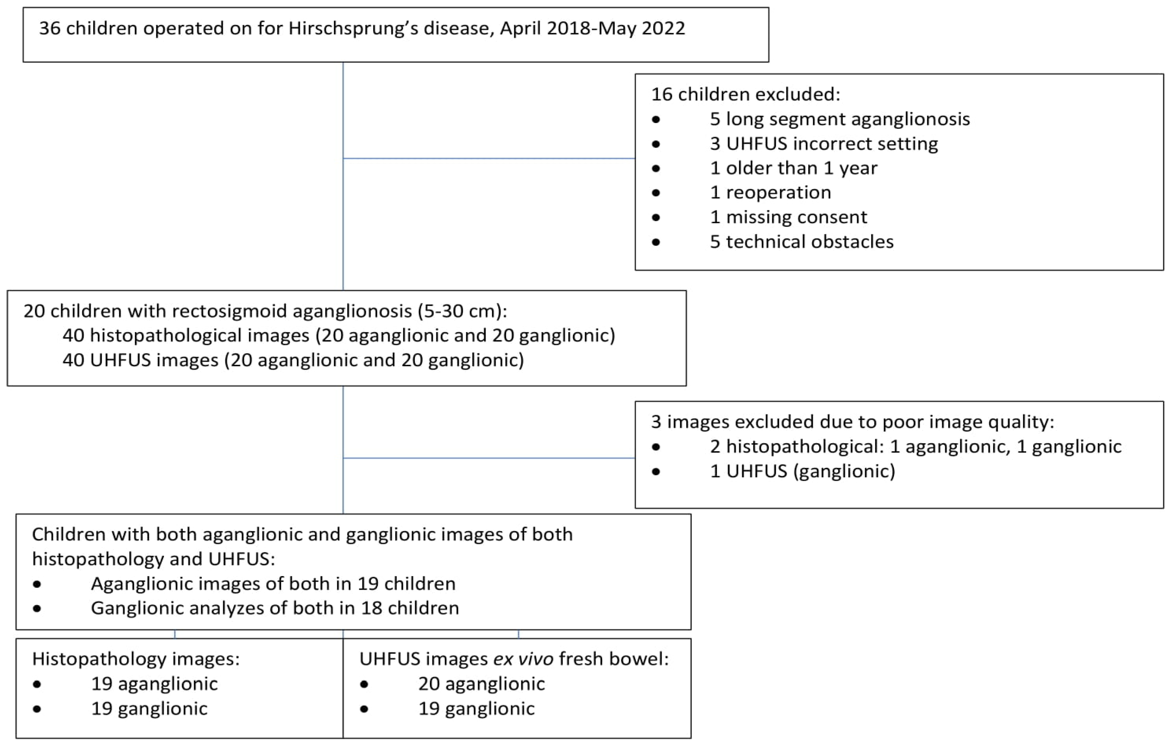 Diagnostics 13 01388 g003 Diagnostics 13 01388 g003