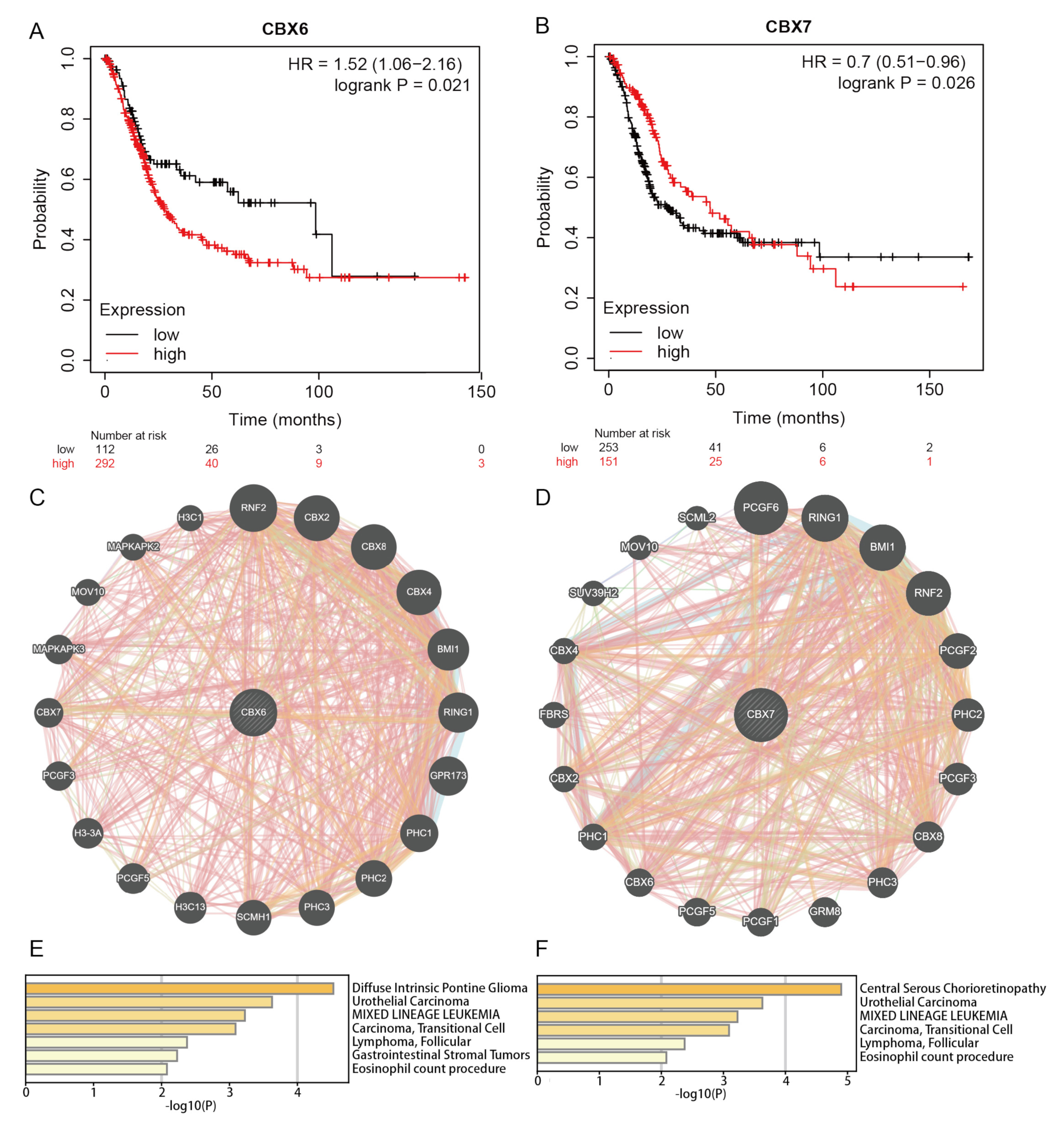Diagnostics 13 01393 g005 Diagnostics 13 01393 g005
