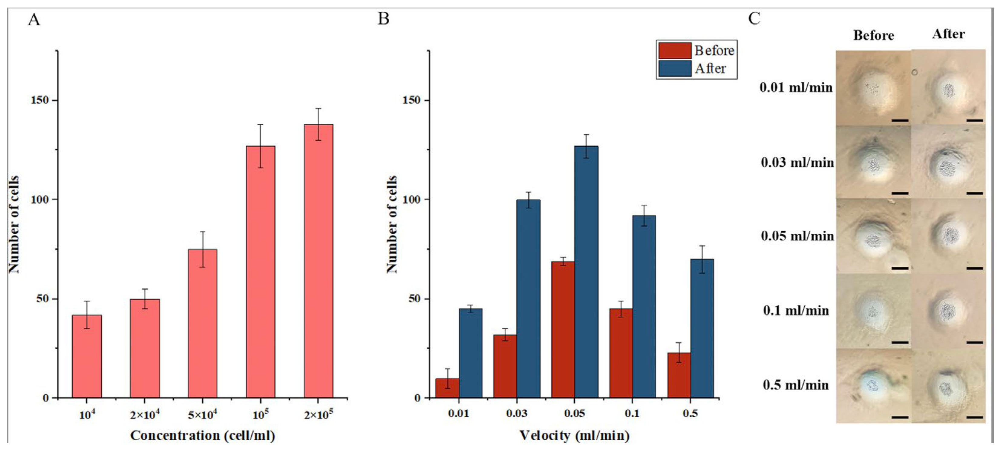 Diagnostics 13 01394 g003 Diagnostics 13 01394 g003