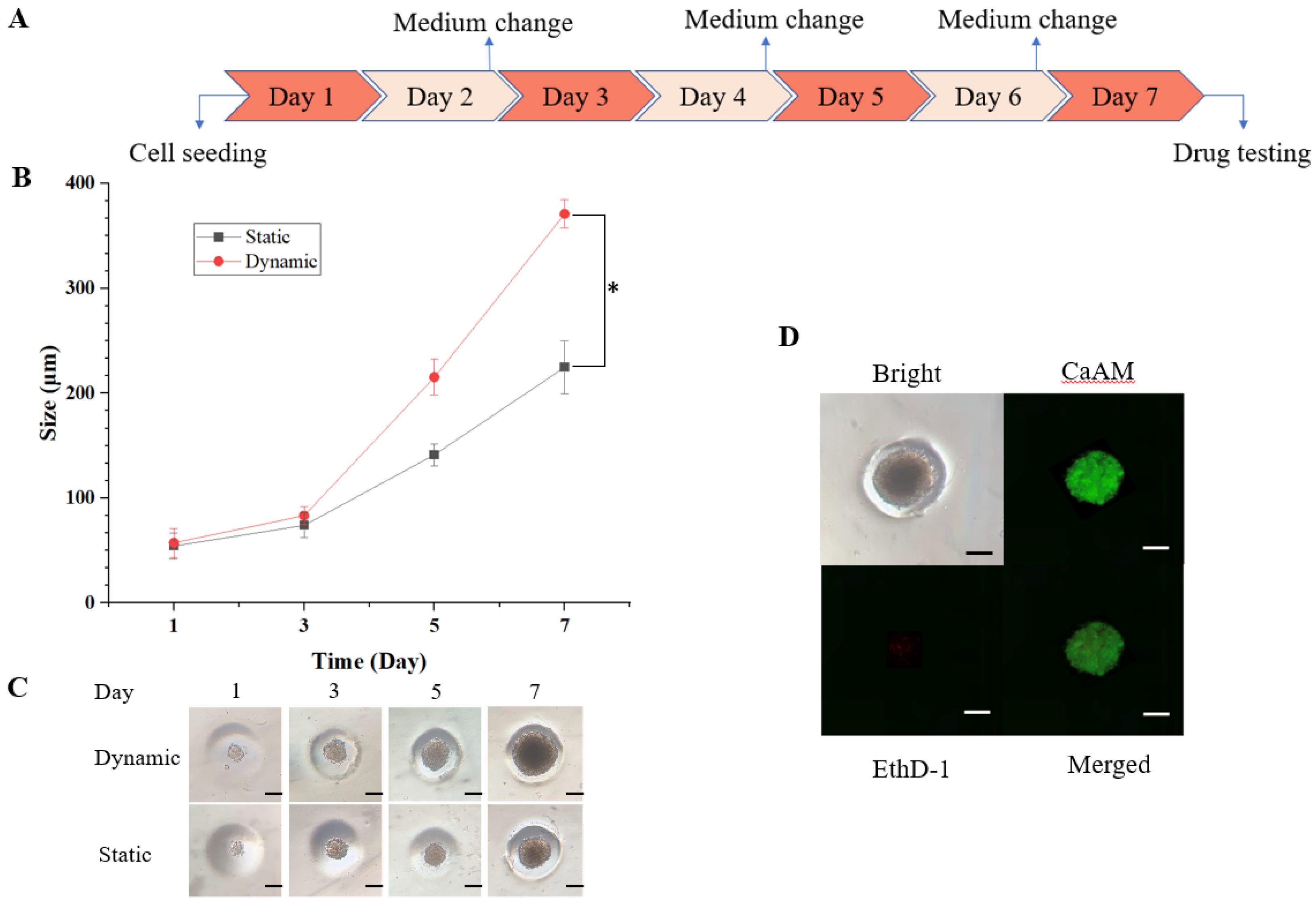 Diagnostics 13 01394 g004 Diagnostics 13 01394 g004