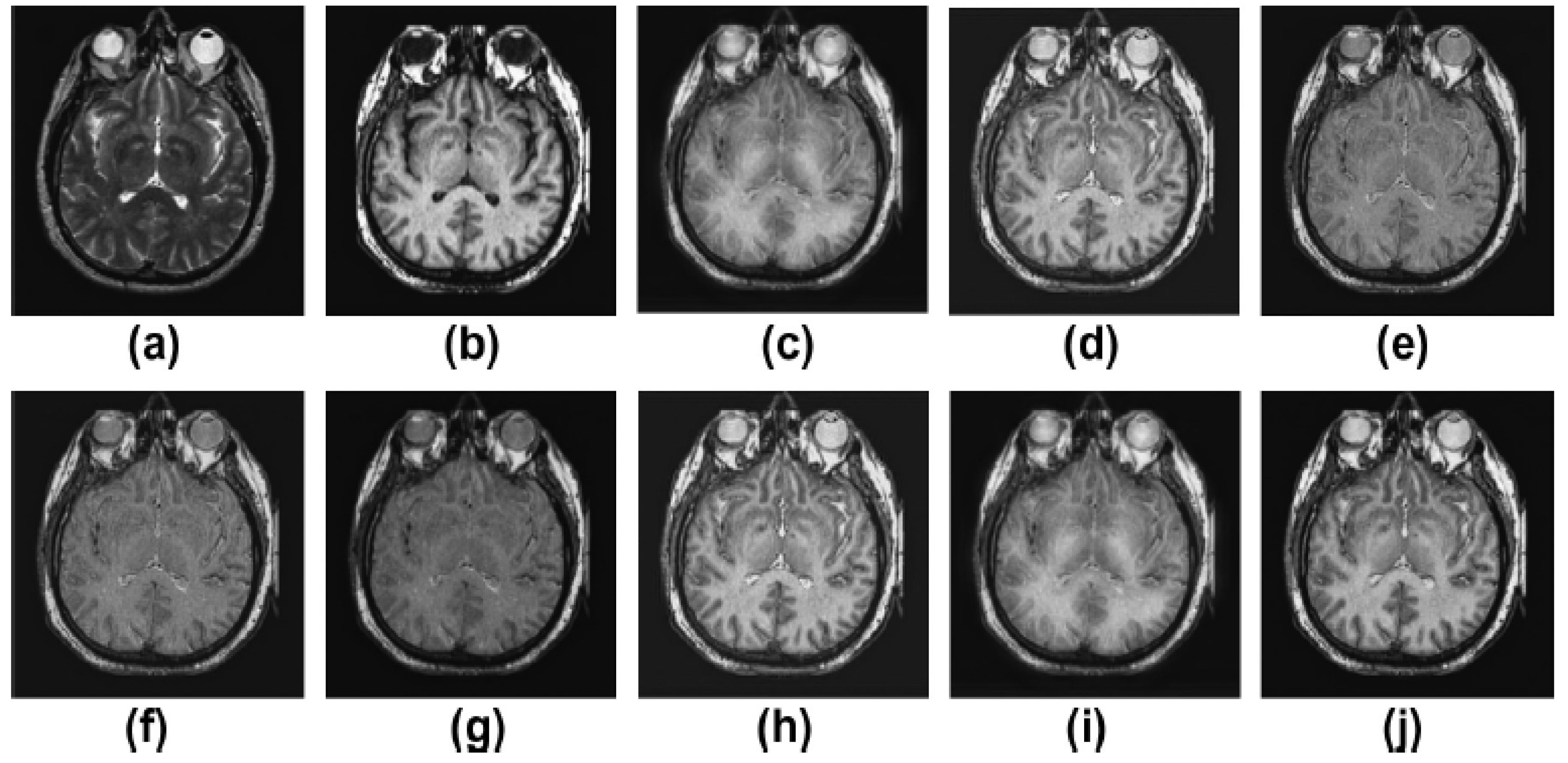 Diagnostics 13 01395 g003
