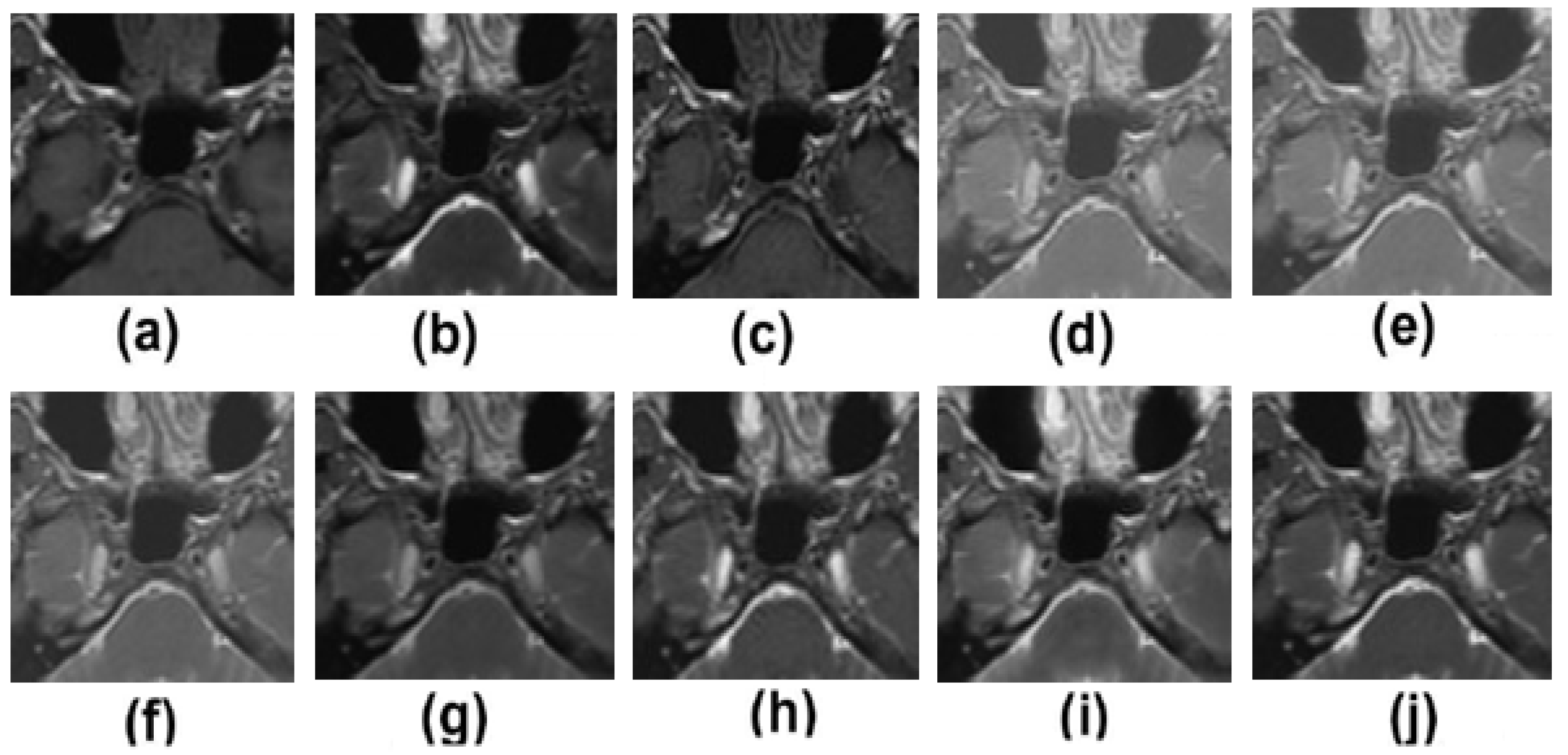 Diagnostics 13 01395 g005