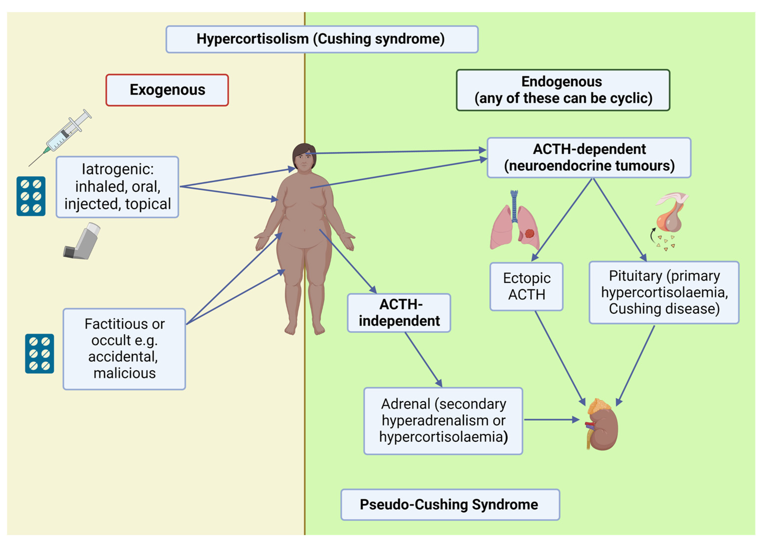 cortisol suppression test (Rapid or prolonged)