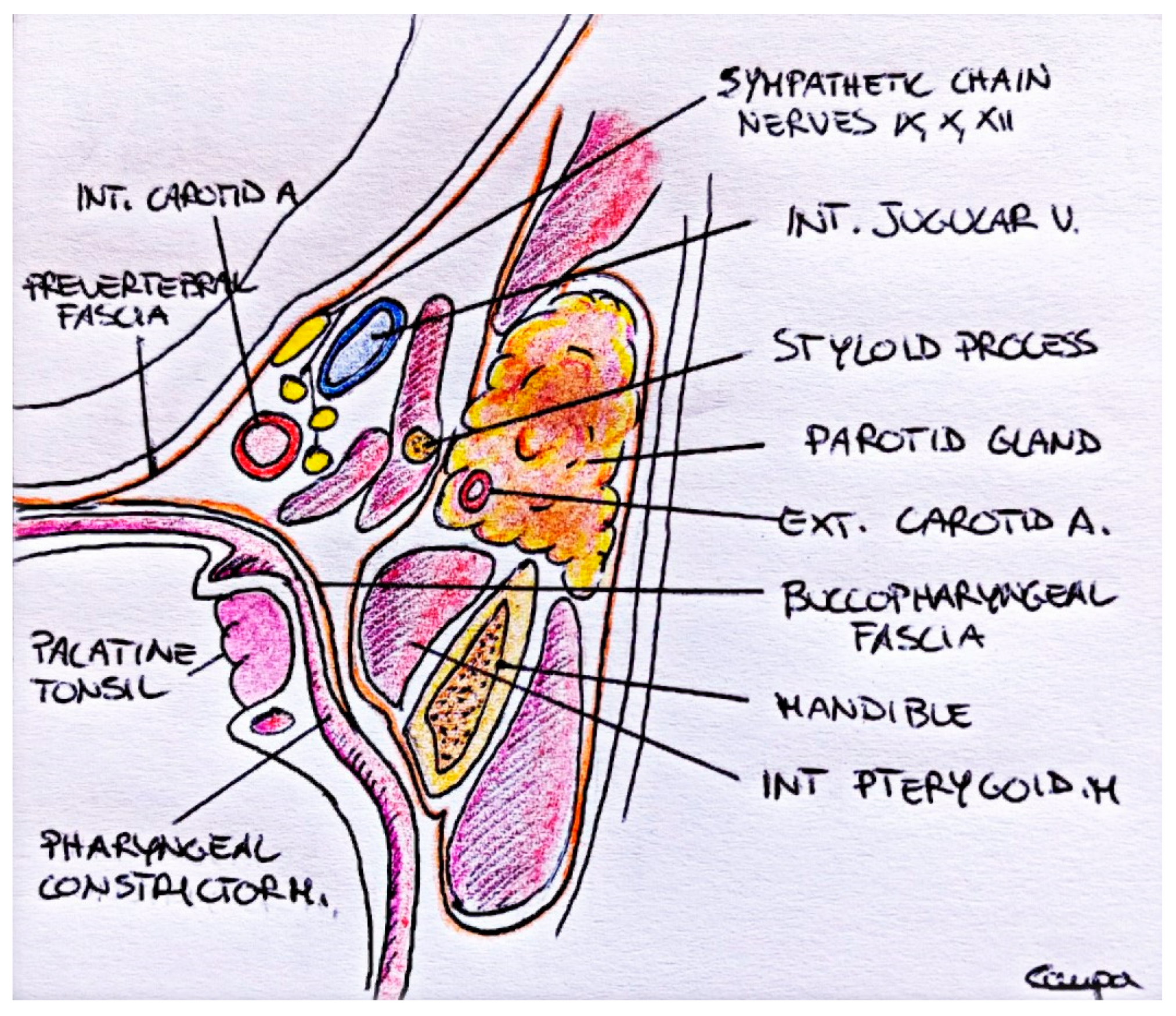 Diagnostics 13 01426 g001