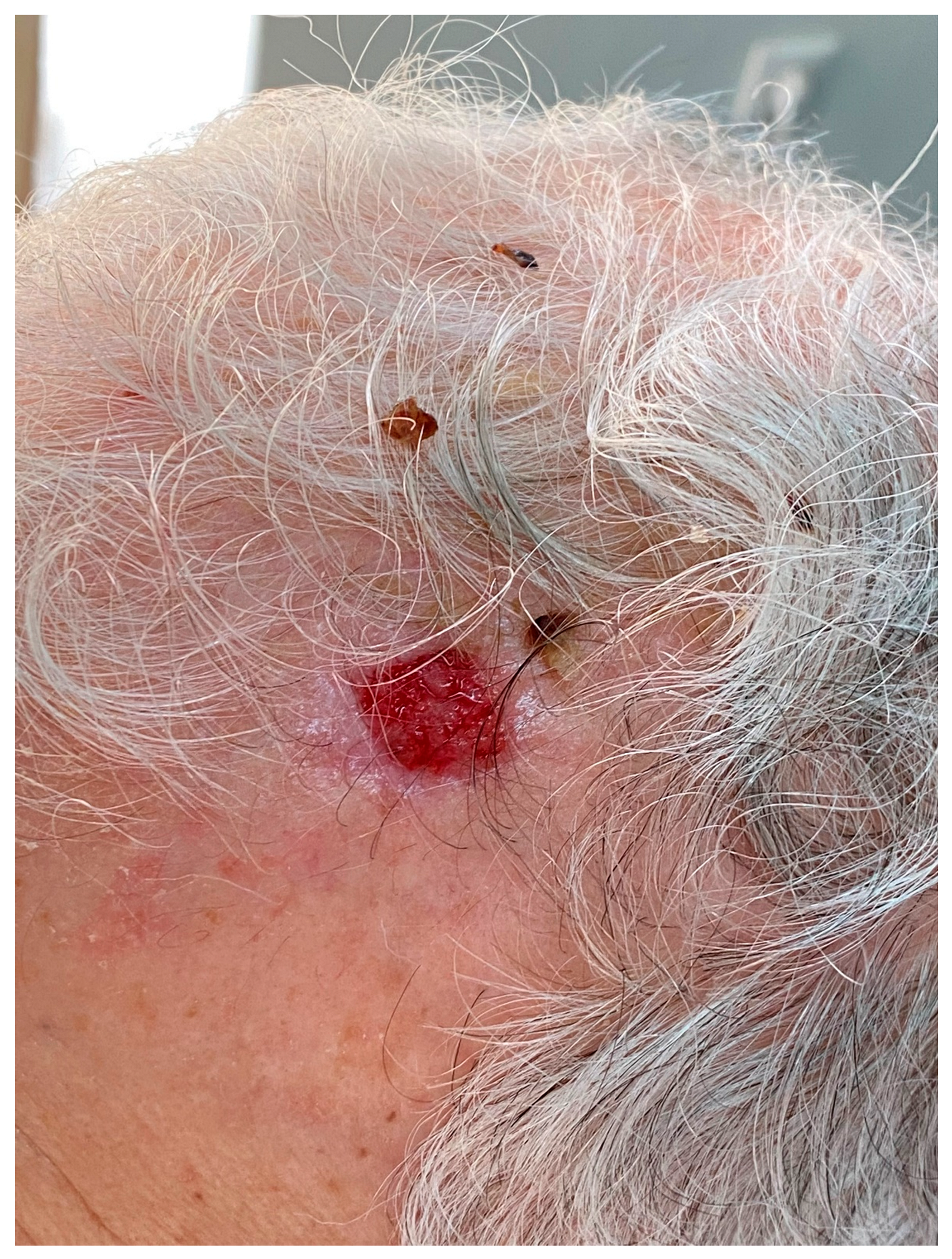 Diagnostics 13 01431 g001