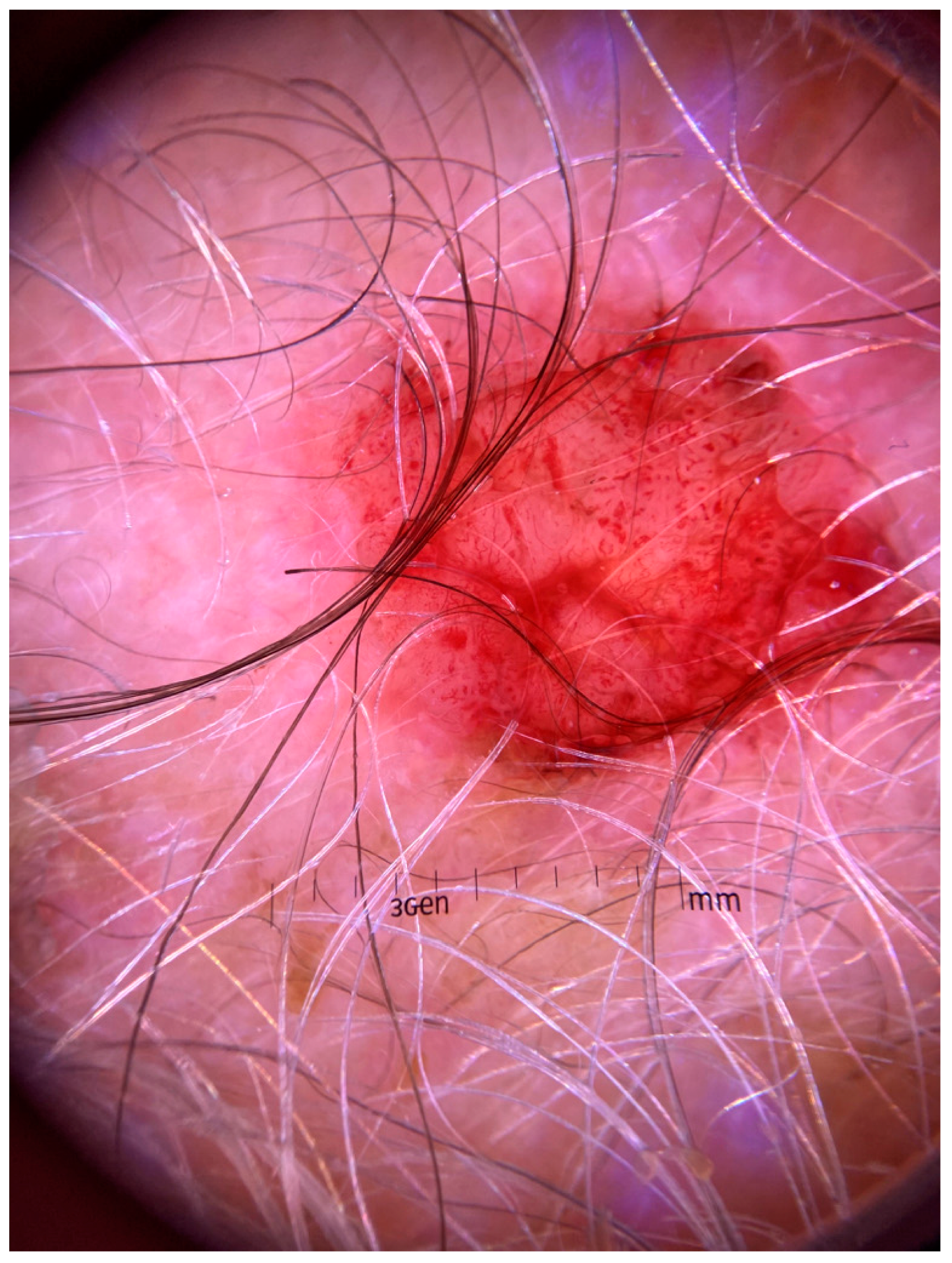 Diagnostics 13 01431 g002