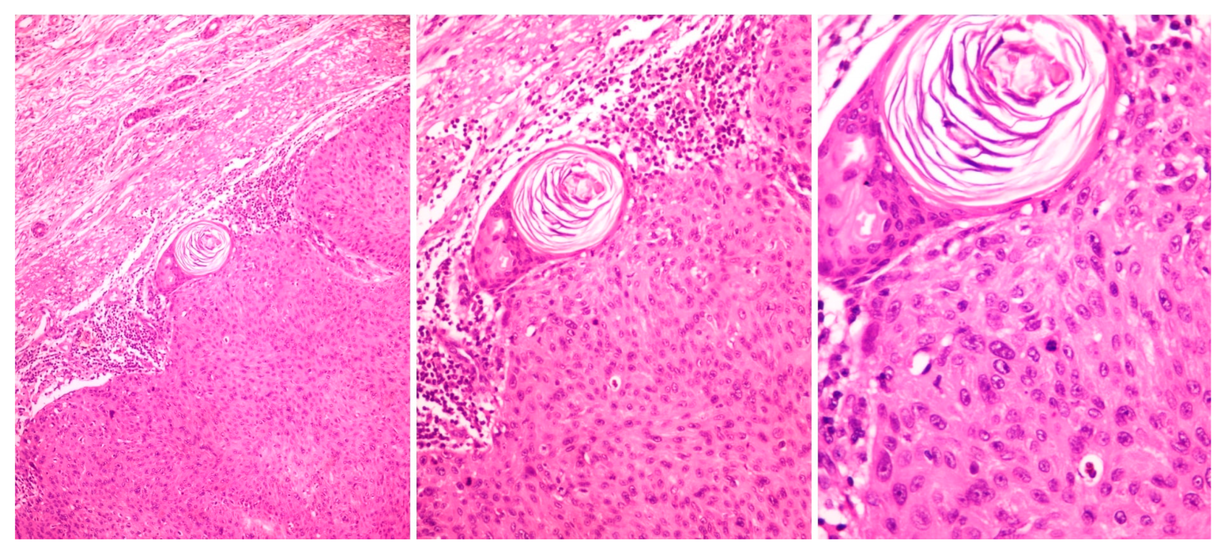 Diagnostics 13 01431 g003