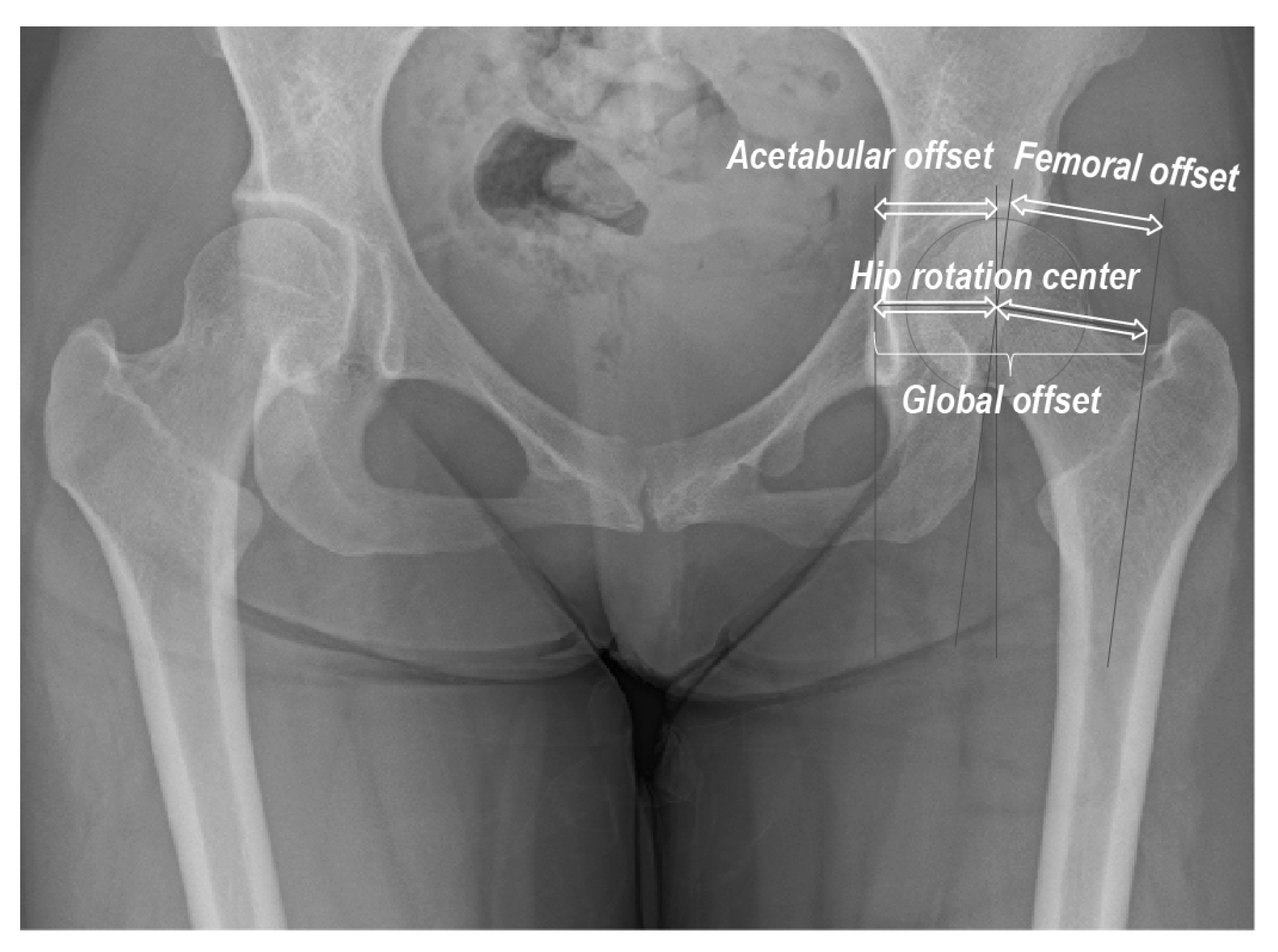 Diagnostics 13 01434 g001