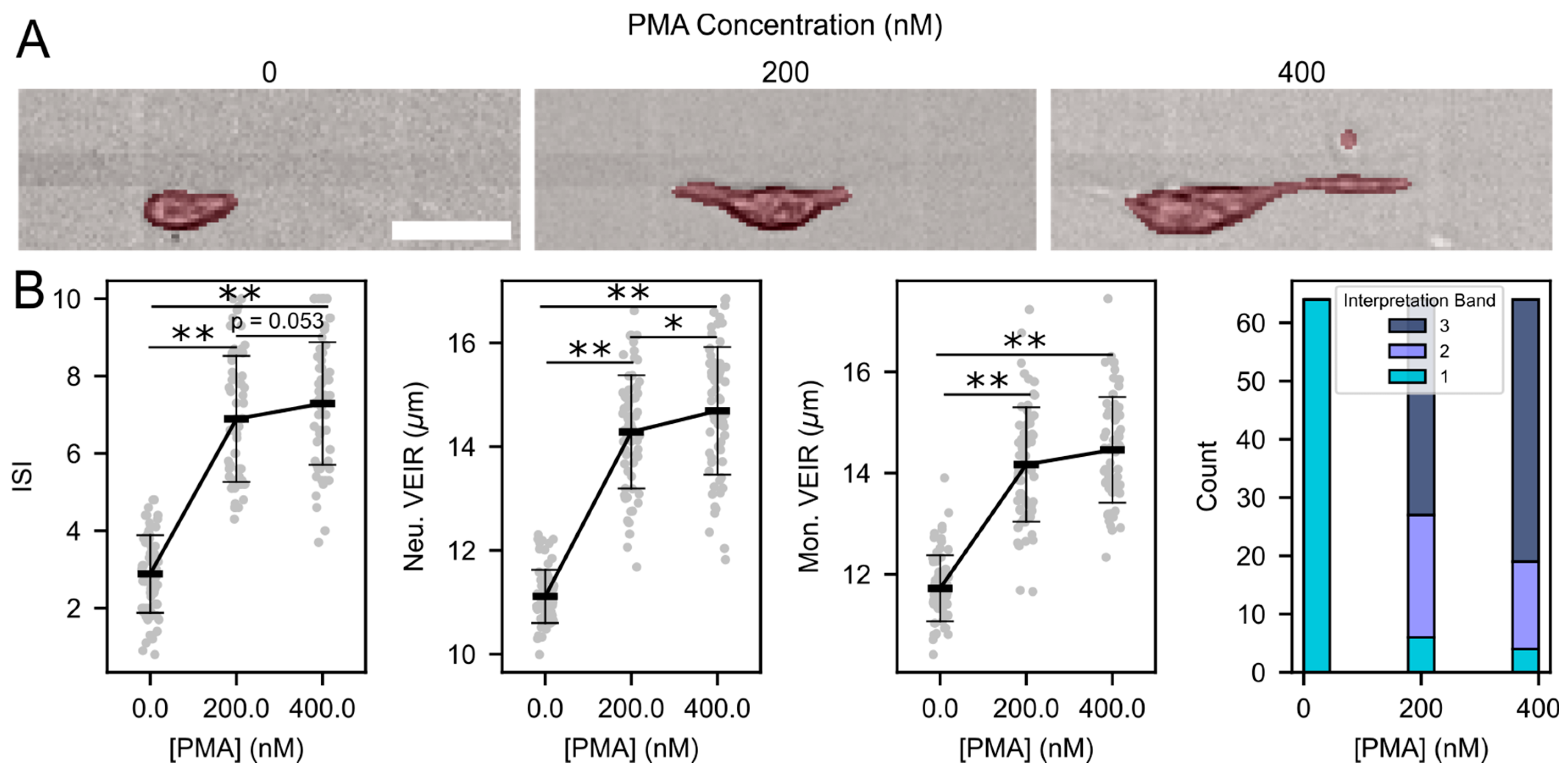 Diagnostics 13 01435 g002