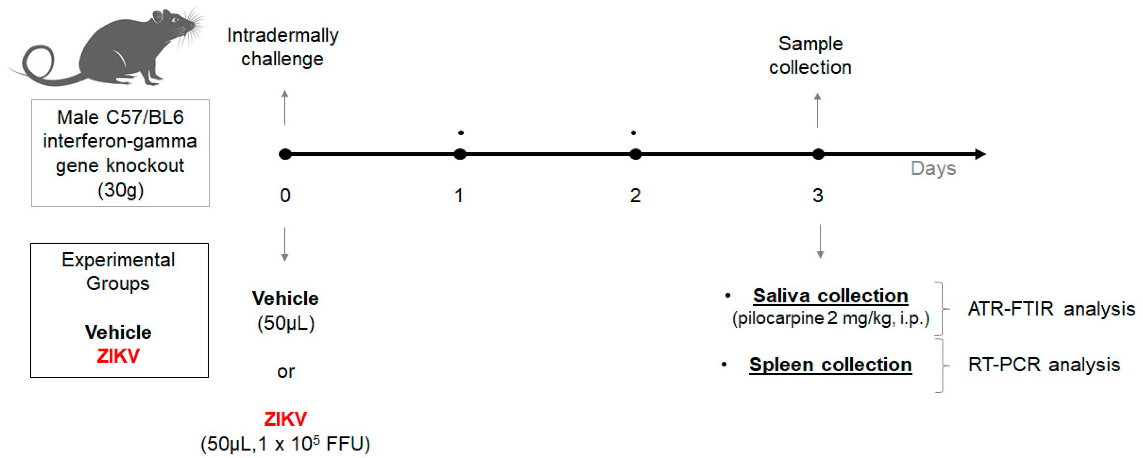 Diagnostics 13 01443 g001 Diagnostics 13 01443 g001