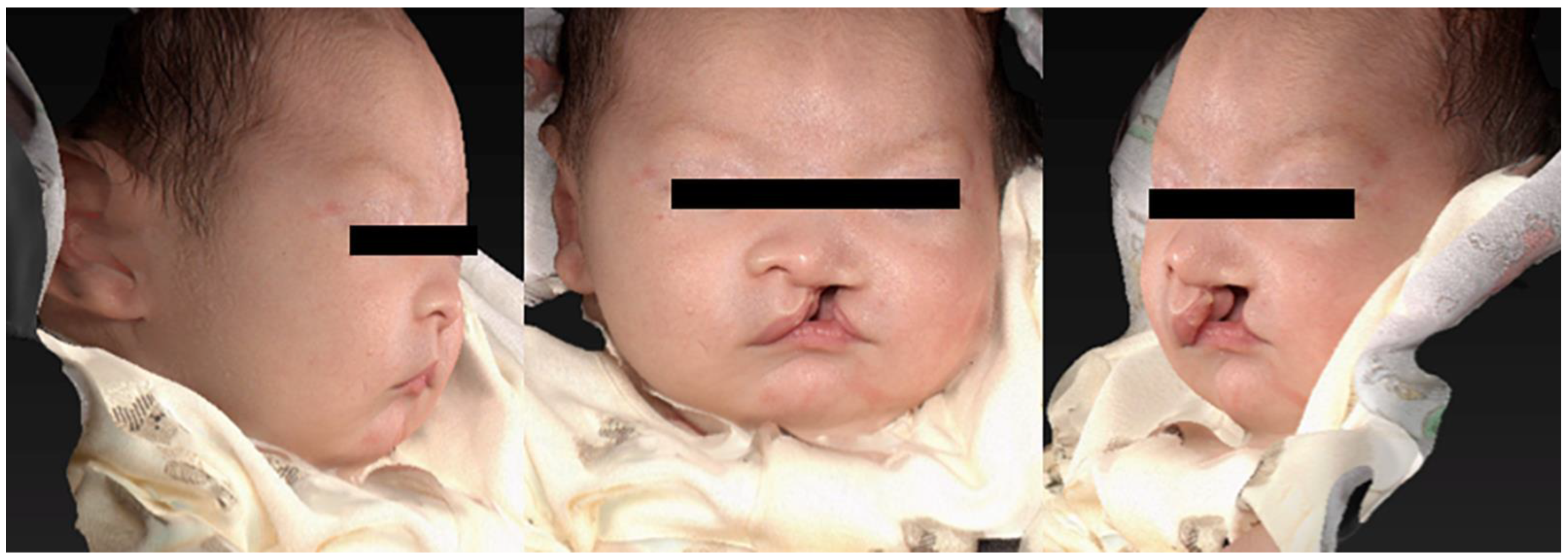 Diagnostics 13 01444 g002