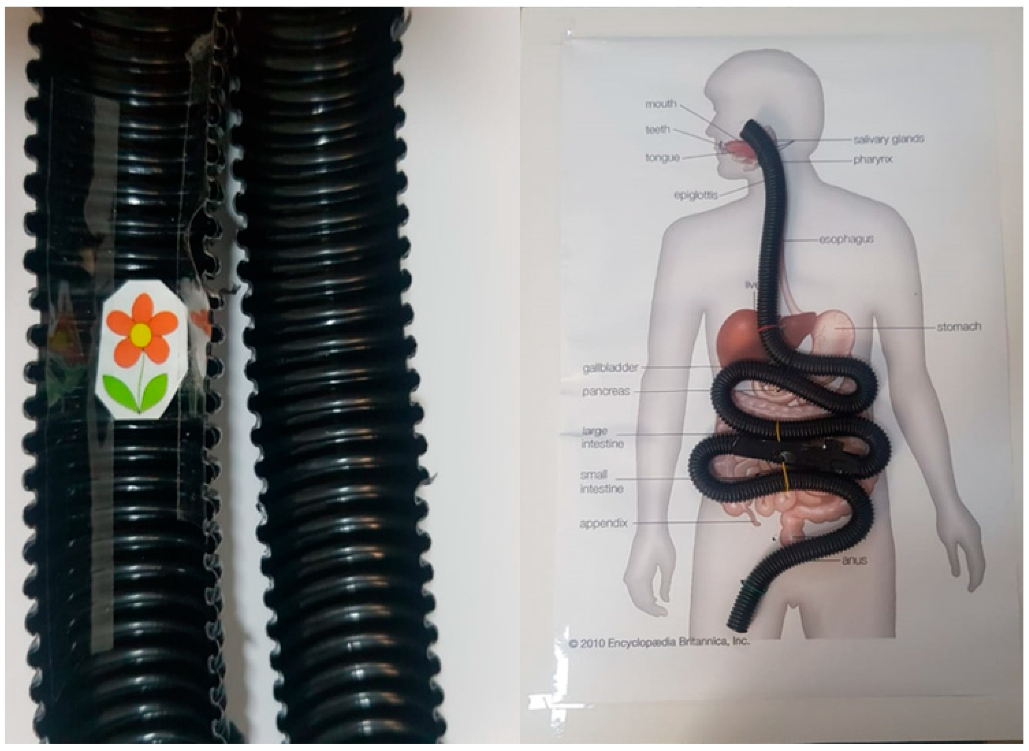 Diagnostics 13 01445 g016