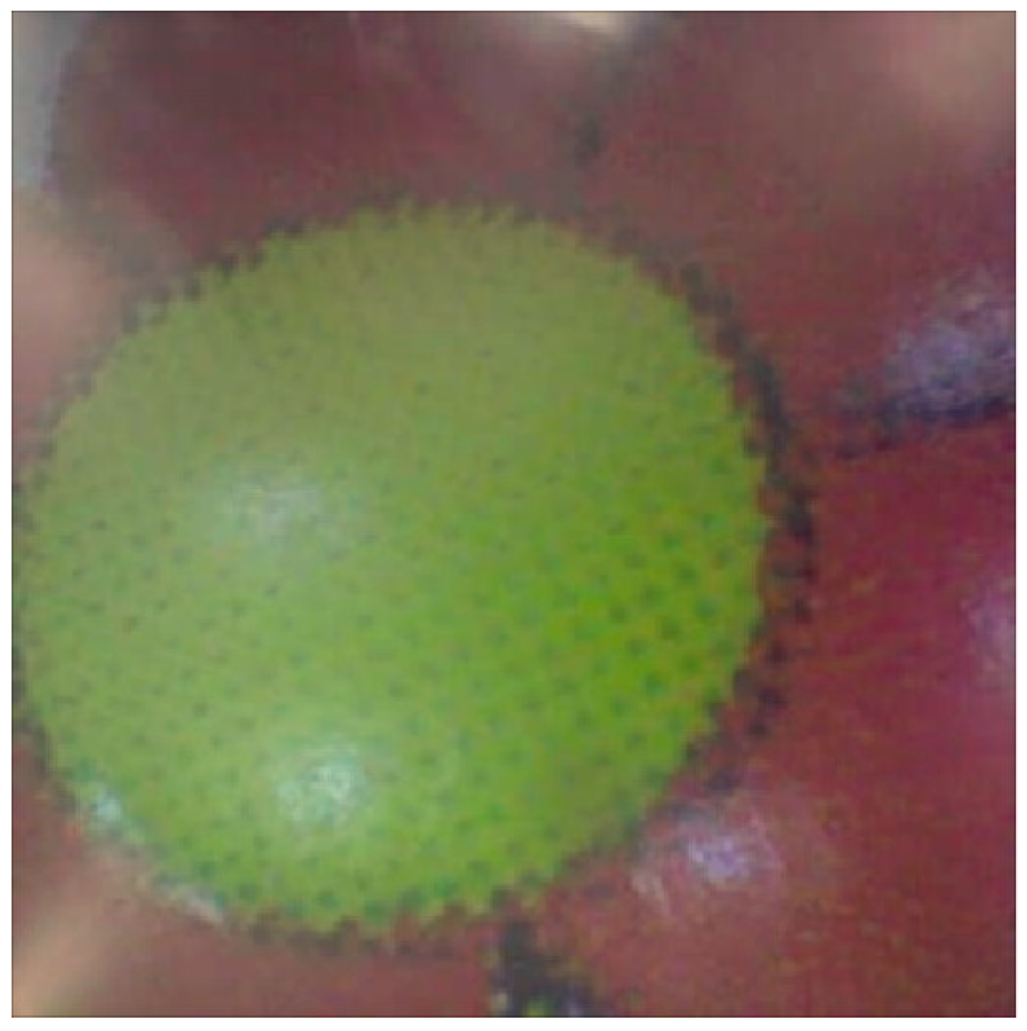 Diagnostics 13 01445 g017