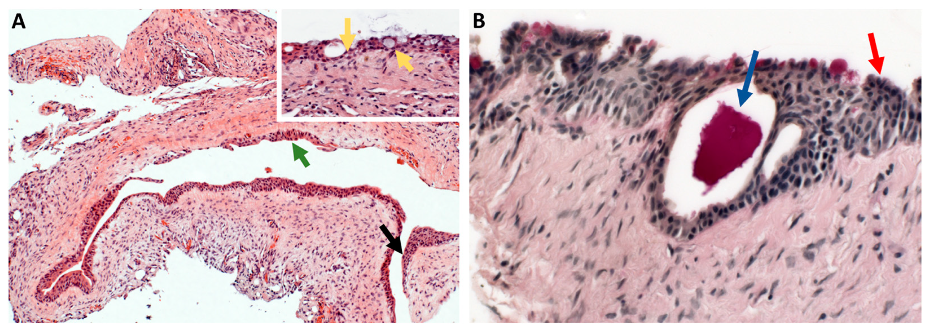 Diagnostics 13 01452 g002