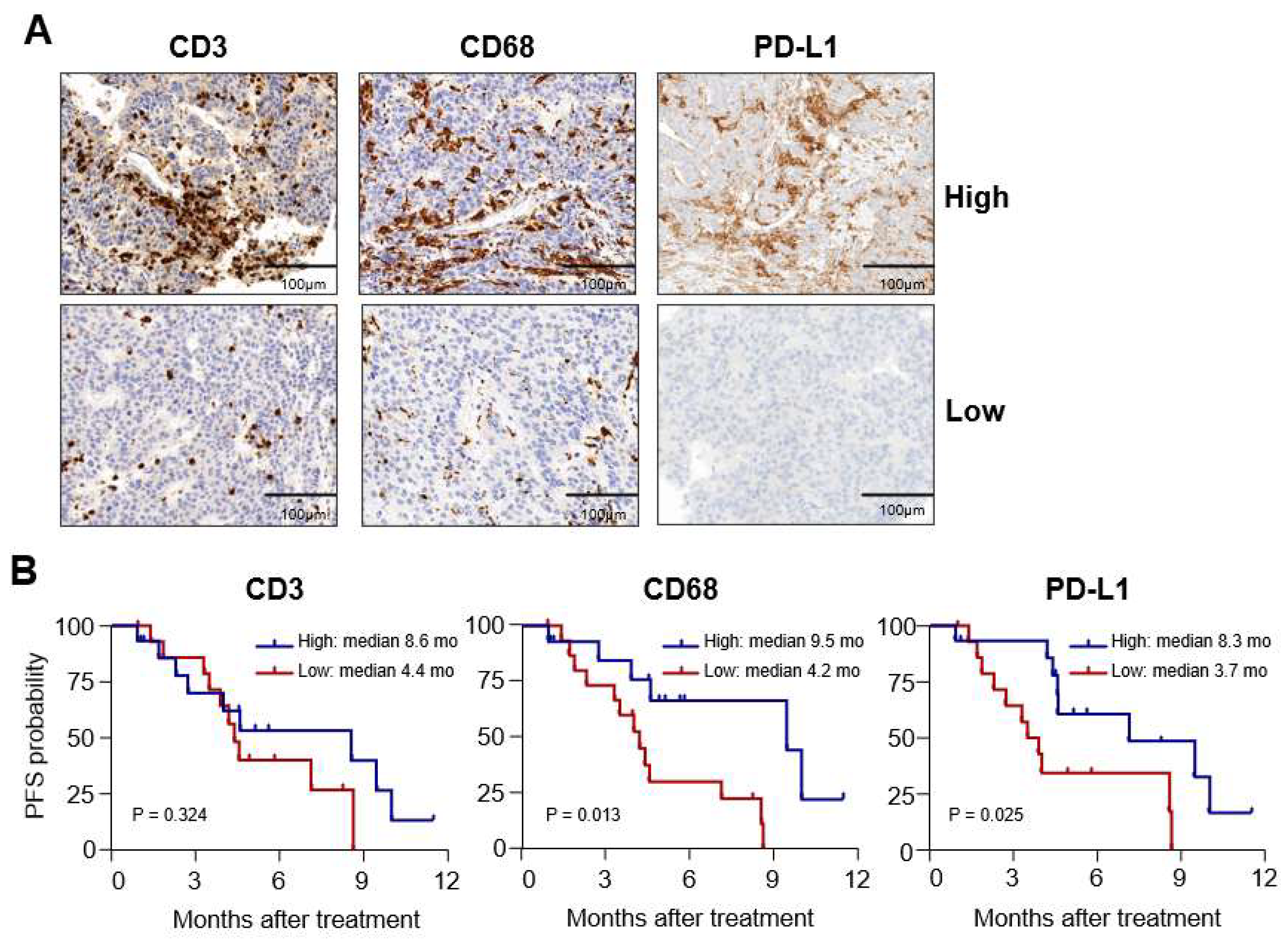 Diagnostics 13 01453 g001 Diagnostics 13 01453 g001