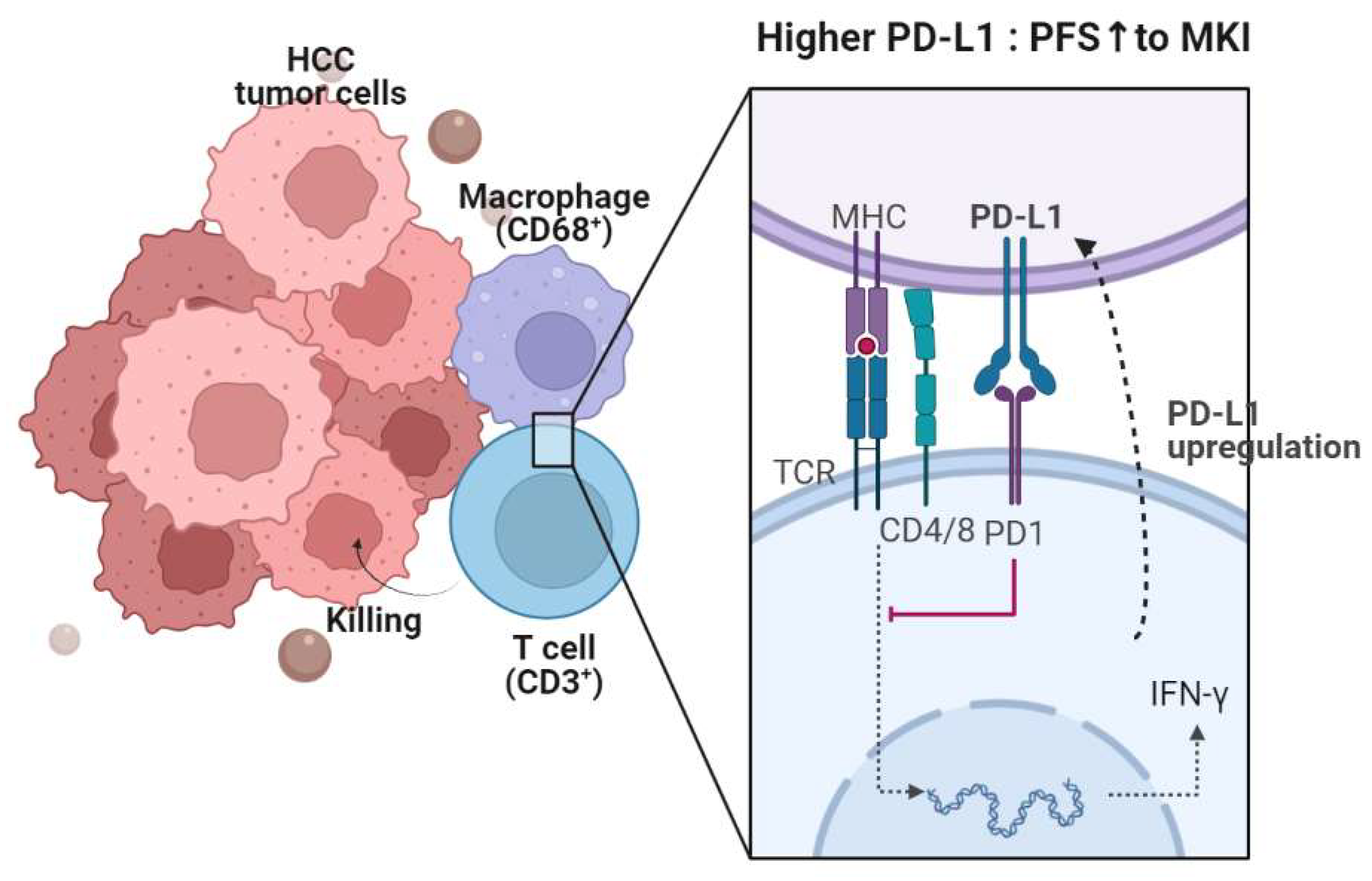 Diagnostics 13 01453 g004 Diagnostics 13 01453 g004