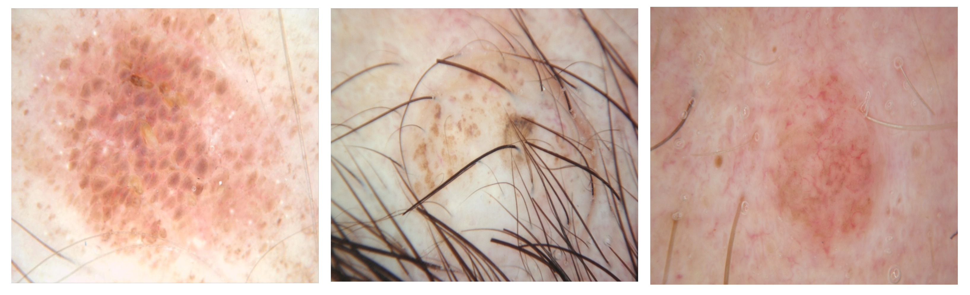 Diagnostics 13 01460 g002