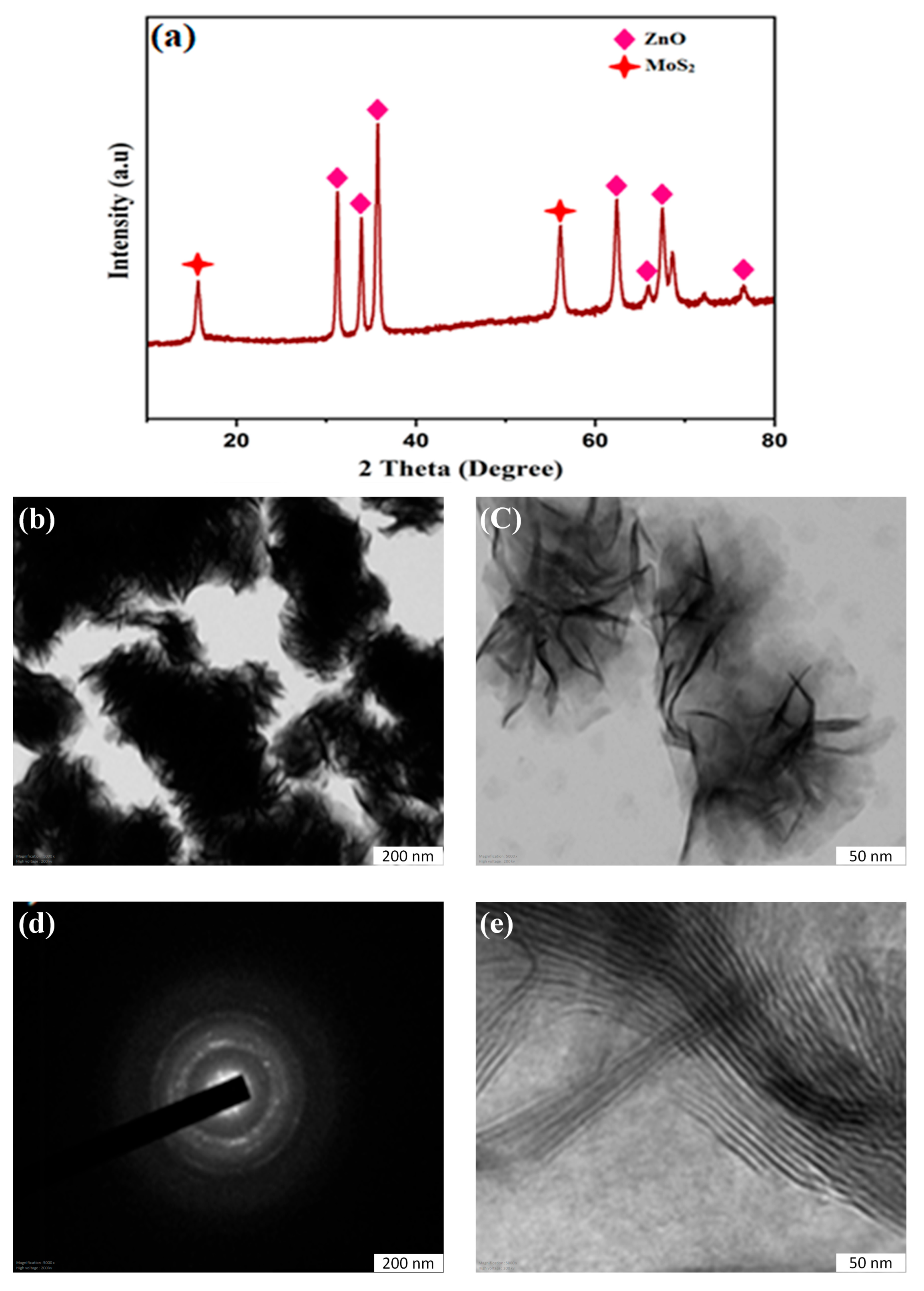 Diagnostics 13 01464 g001 Diagnostics 13 01464 g001