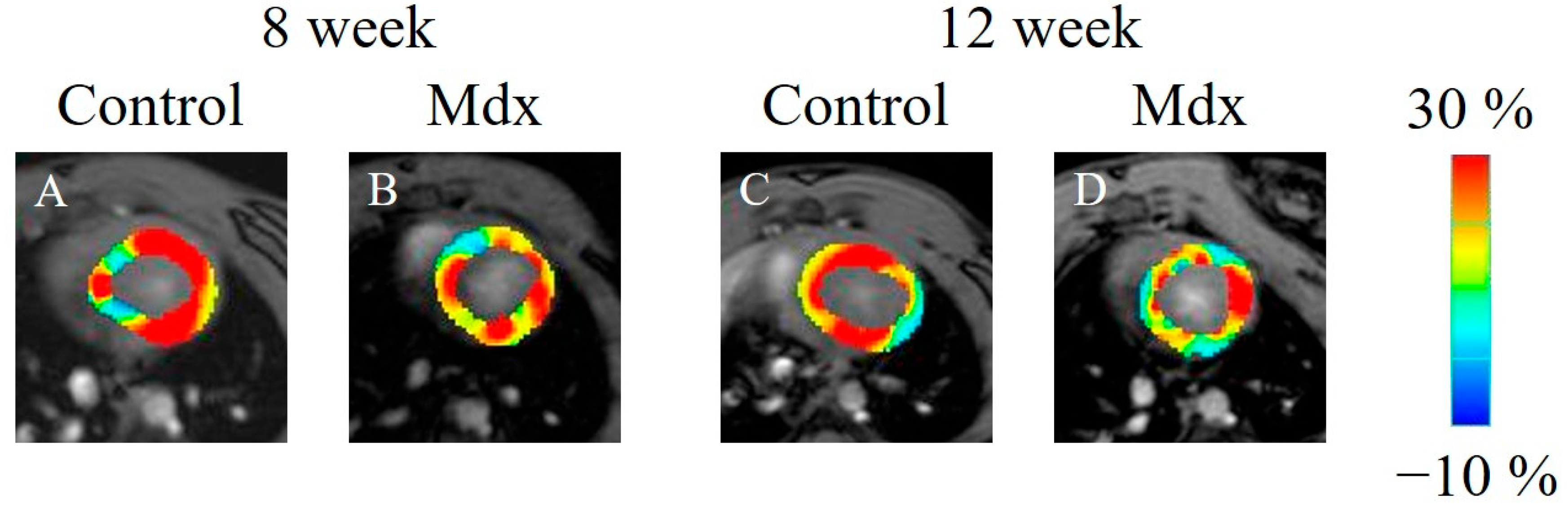 Diagnostics 13 01472 g005