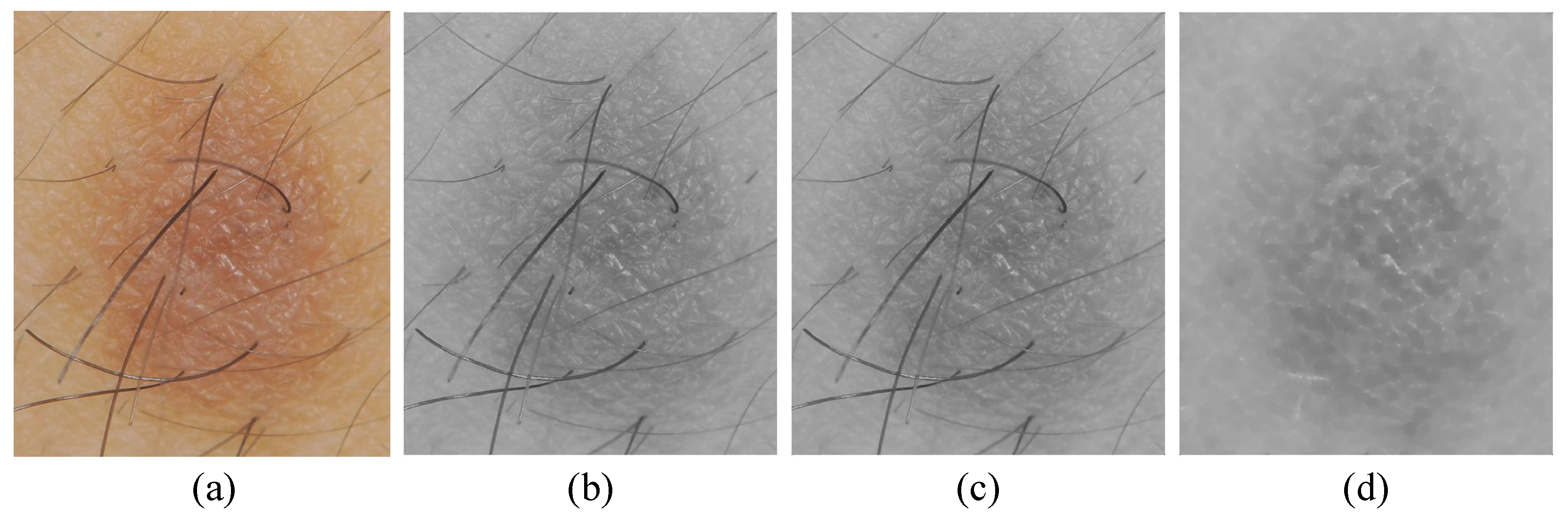 Diagnostics 13 01474 g002 Diagnostics 13 01474 g002