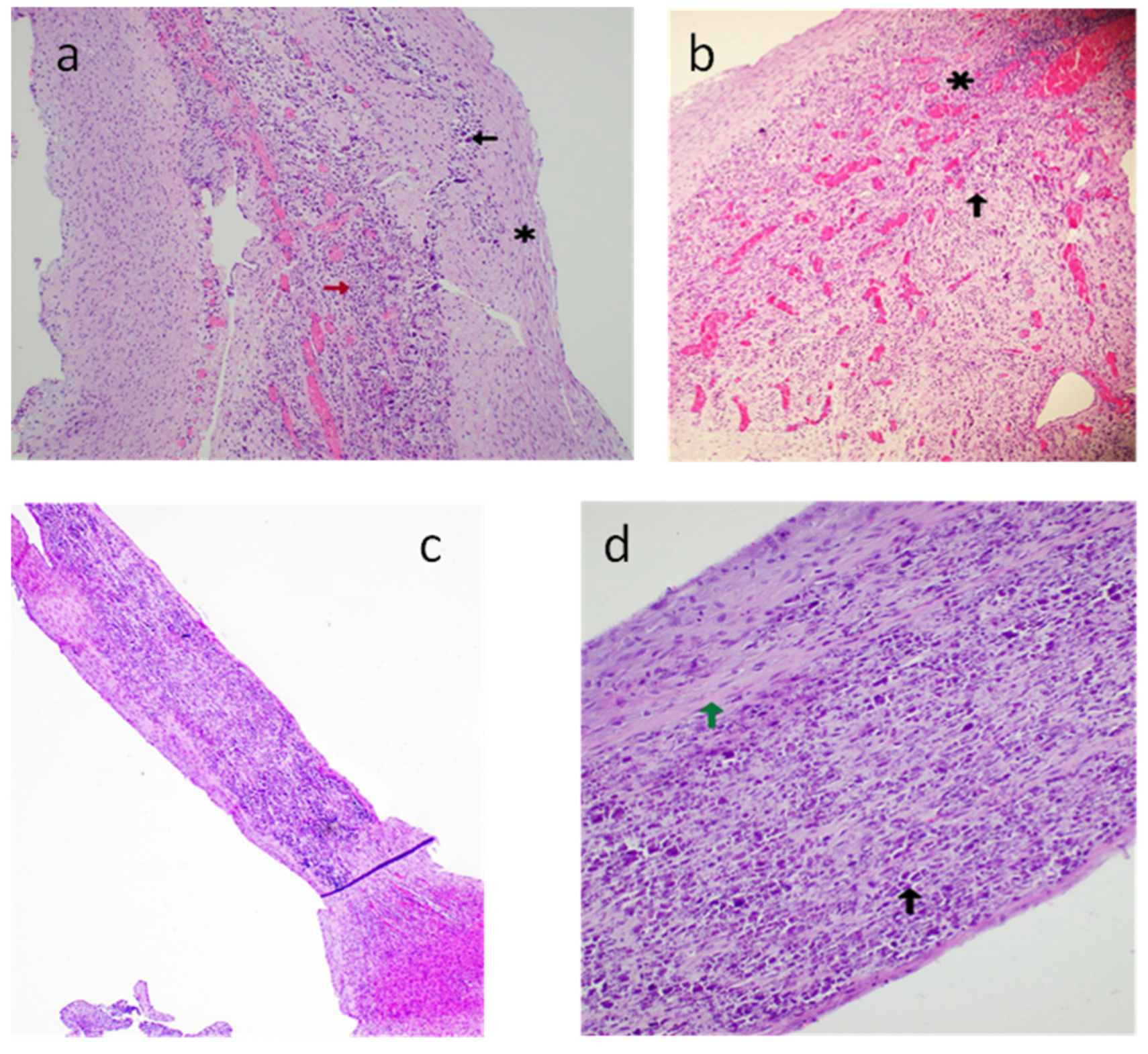 Diagnostics 13 01481 g008 Diagnostics 13 01481 g008