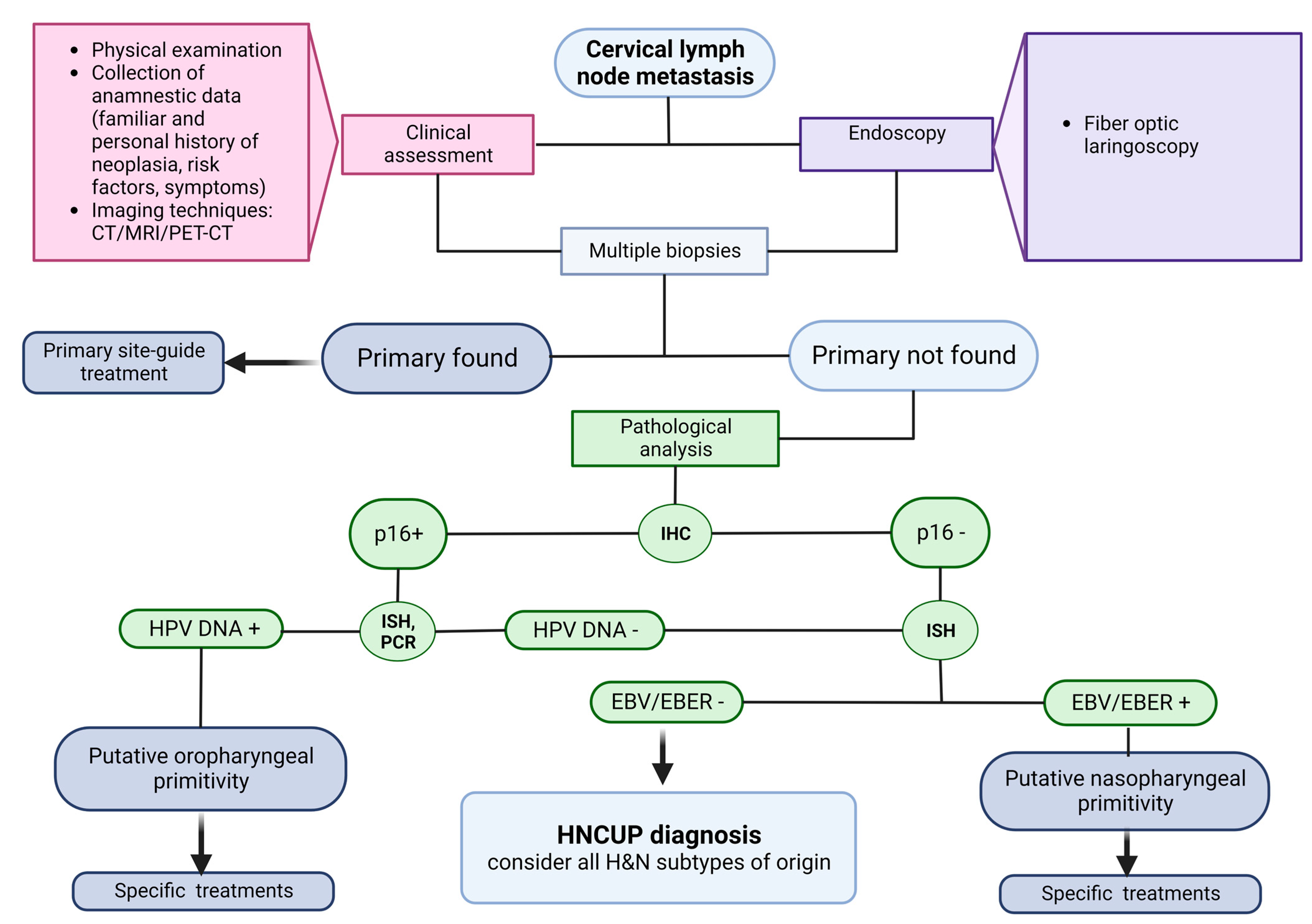 Diagnostics free full text a systematic review of diagnostic and