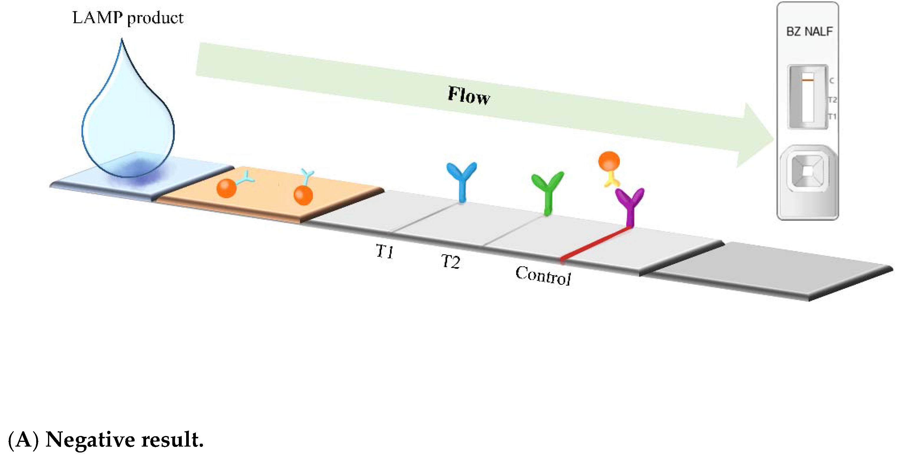 Diagnostics 13 01497 g002a Diagnostics 13 01497 g002a