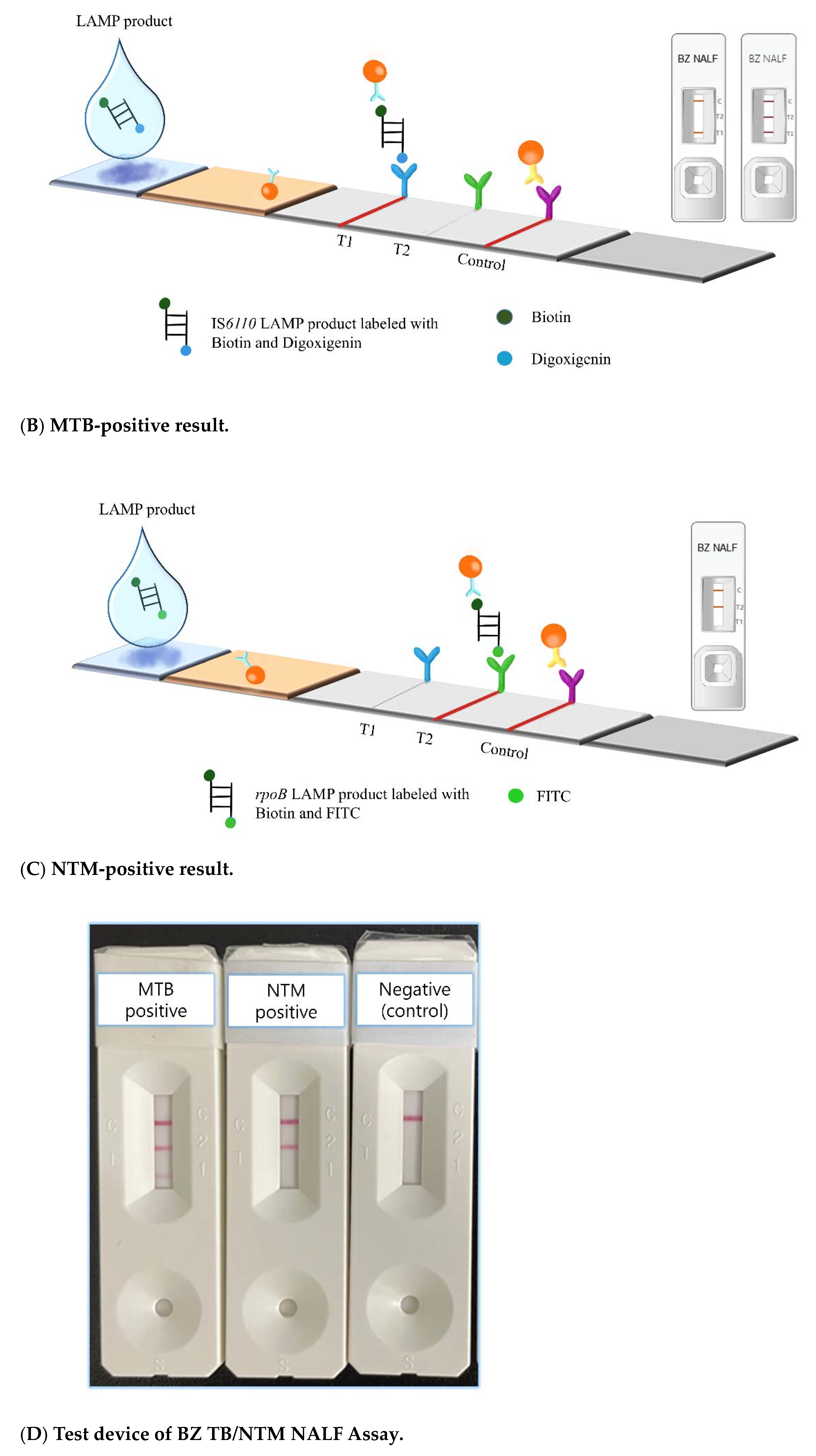 Diagnostics 13 01497 g002b Diagnostics 13 01497 g002b