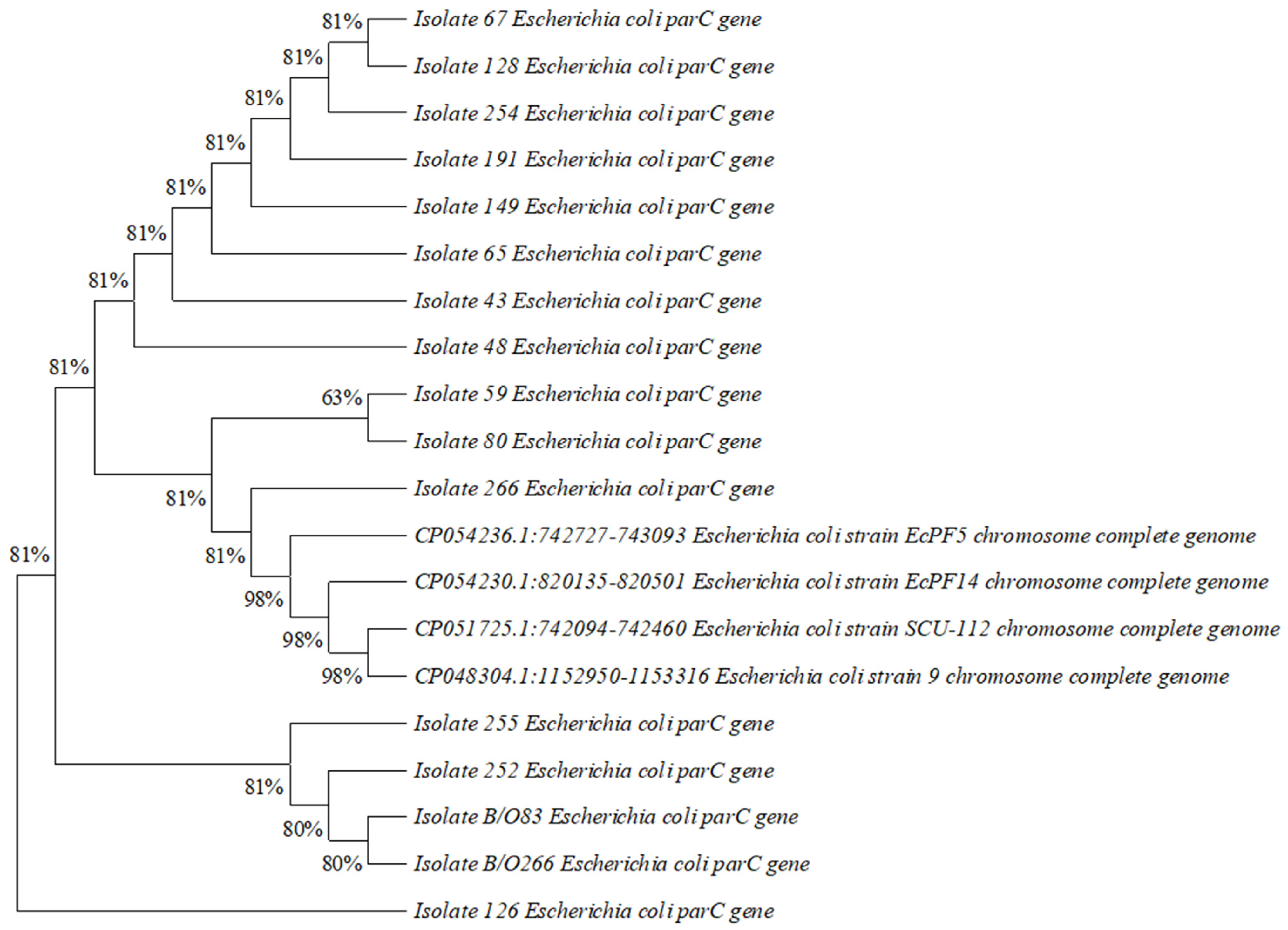 Diagnostics 13 01505 g002 Diagnostics 13 01505 g002
