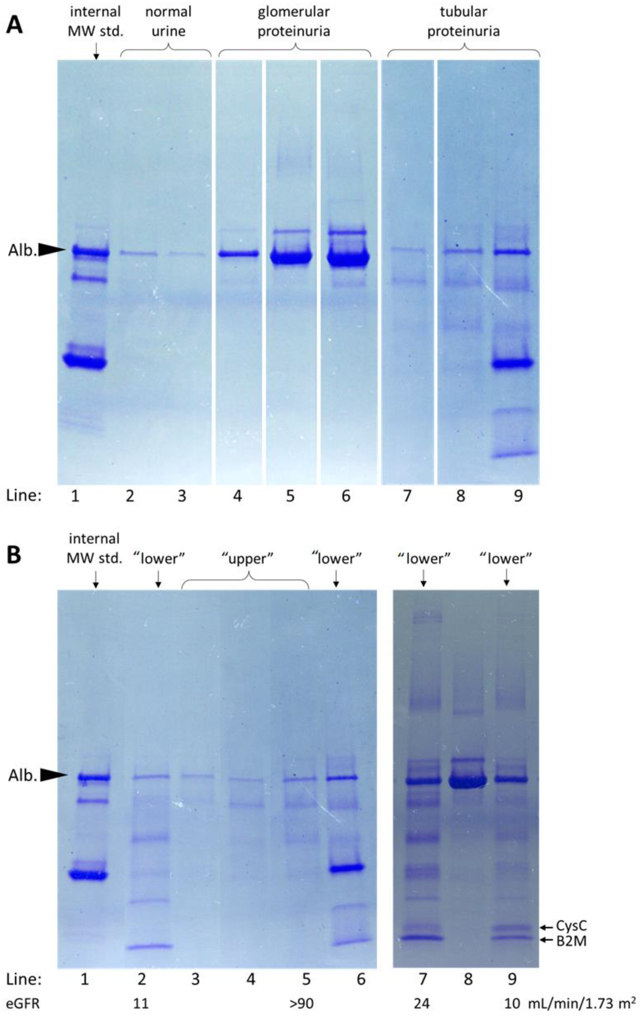 Diagnostics 13 01513 g005