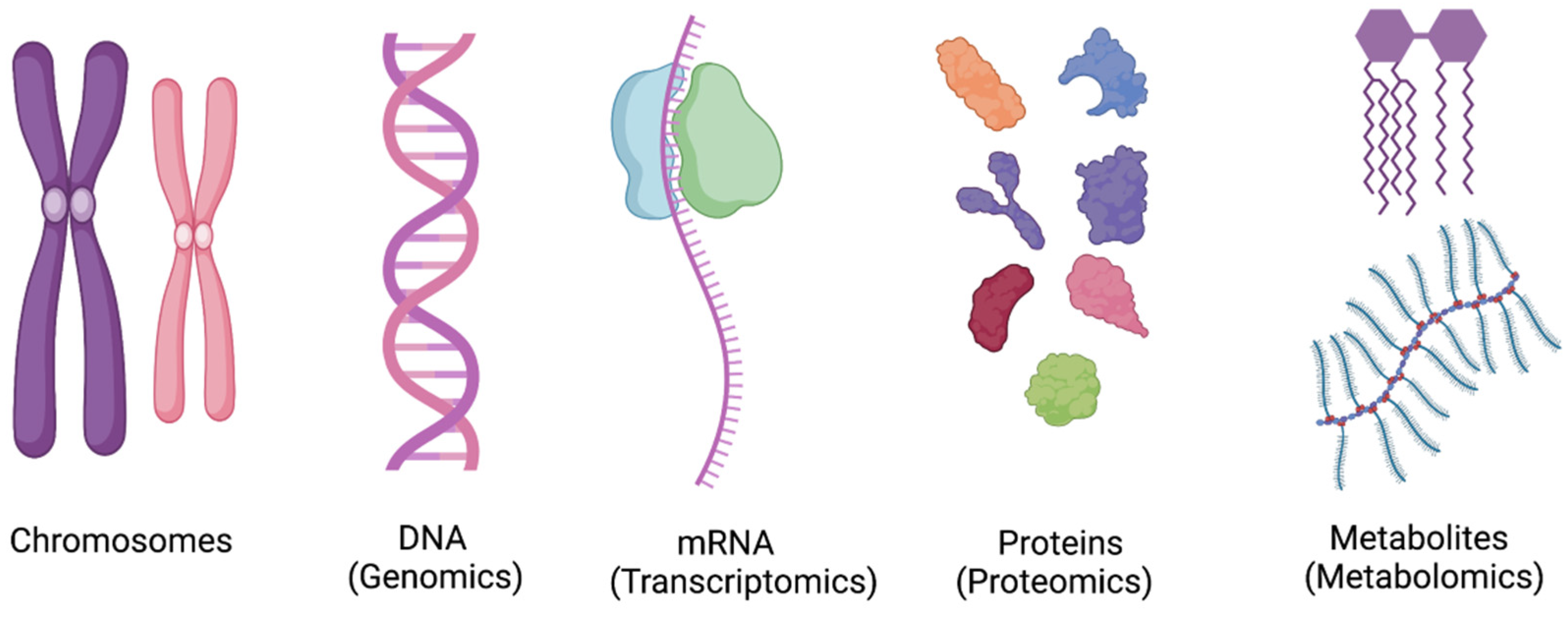 Diagnostics 13 01528 g001 Diagnostics 13 01528 g001
