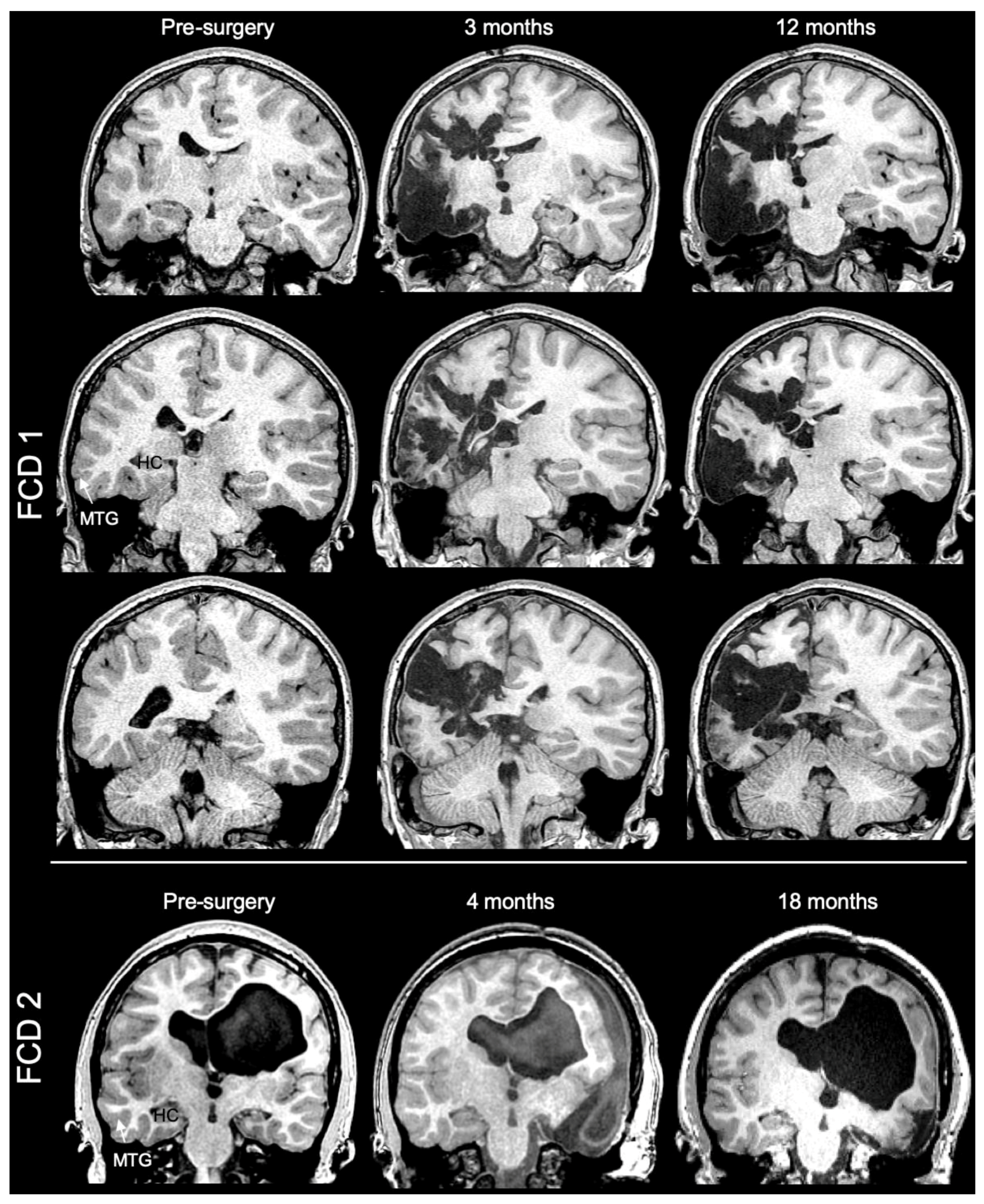 Diagnostics 13 01529 g001 Diagnostics 13 01529 g001
