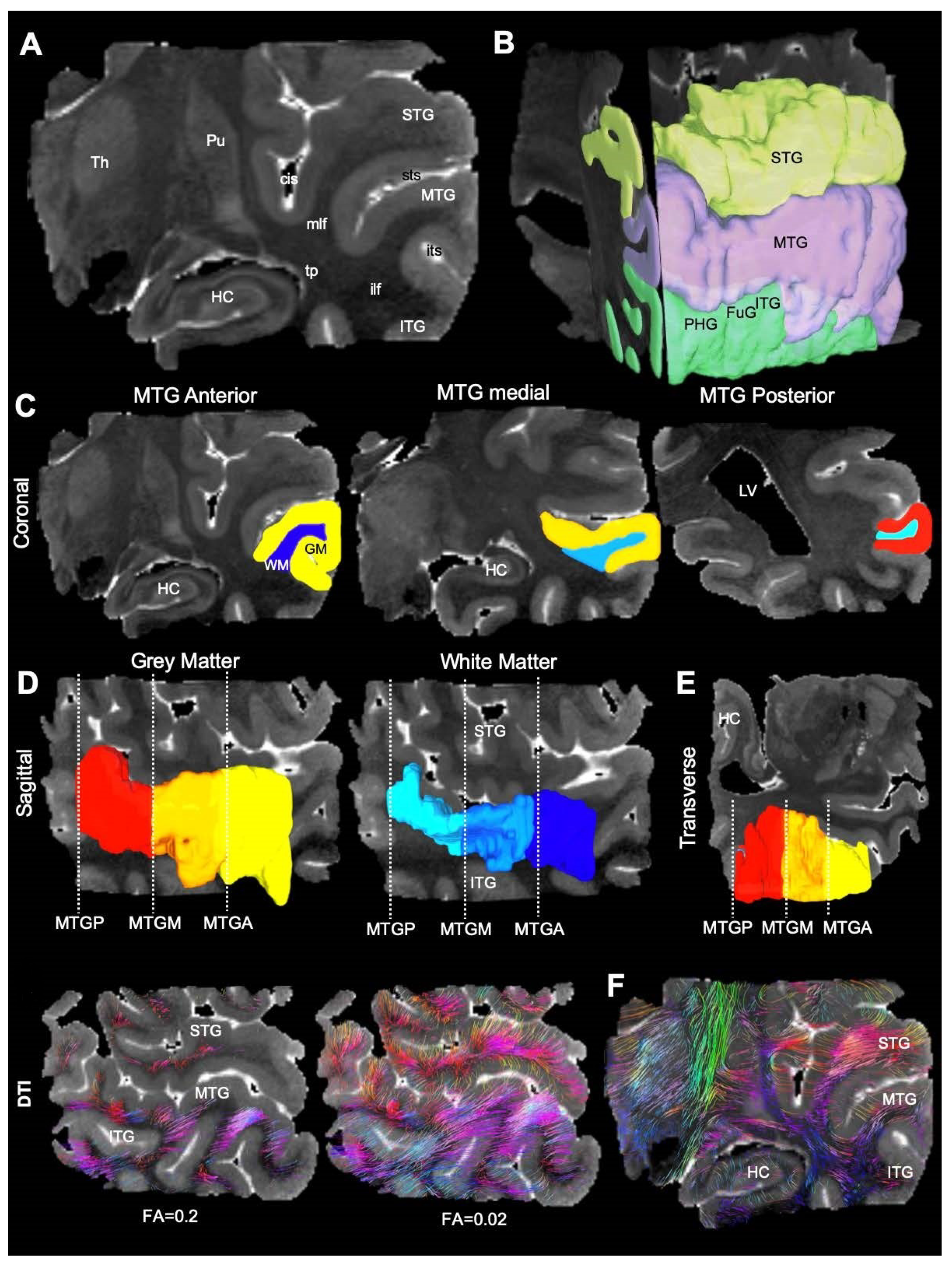 Diagnostics 13 01529 g002 Diagnostics 13 01529 g002