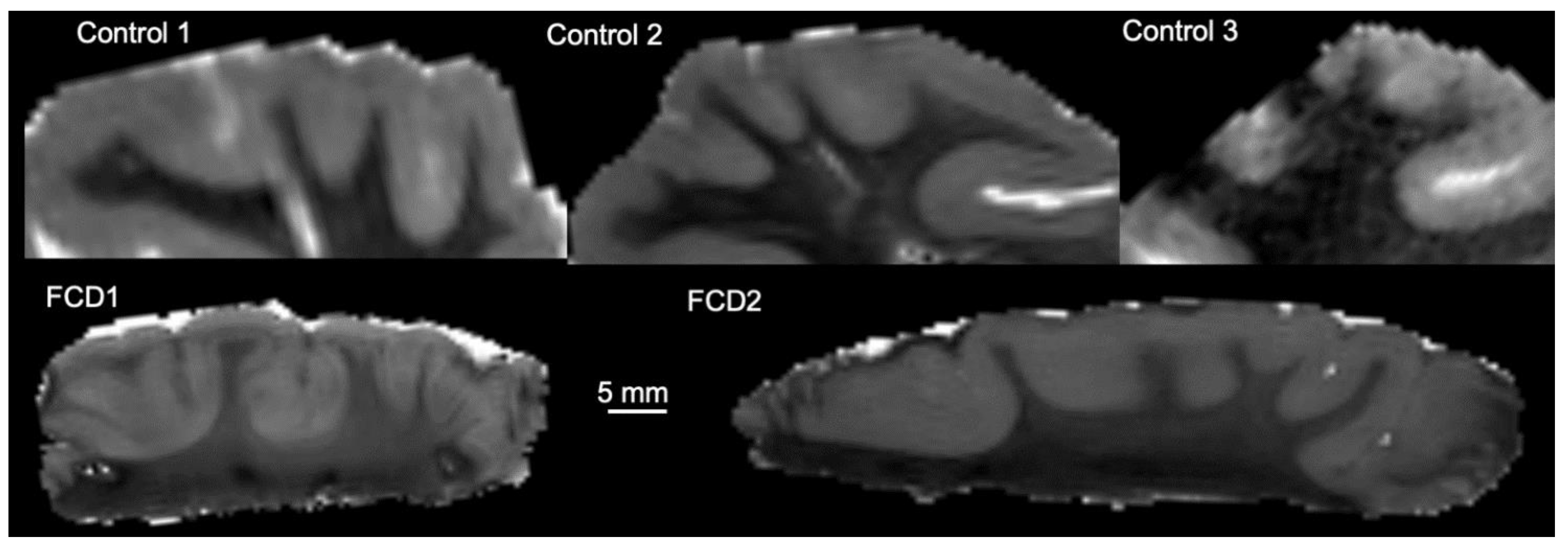 Diagnostics 13 01529 g003 Diagnostics 13 01529 g003