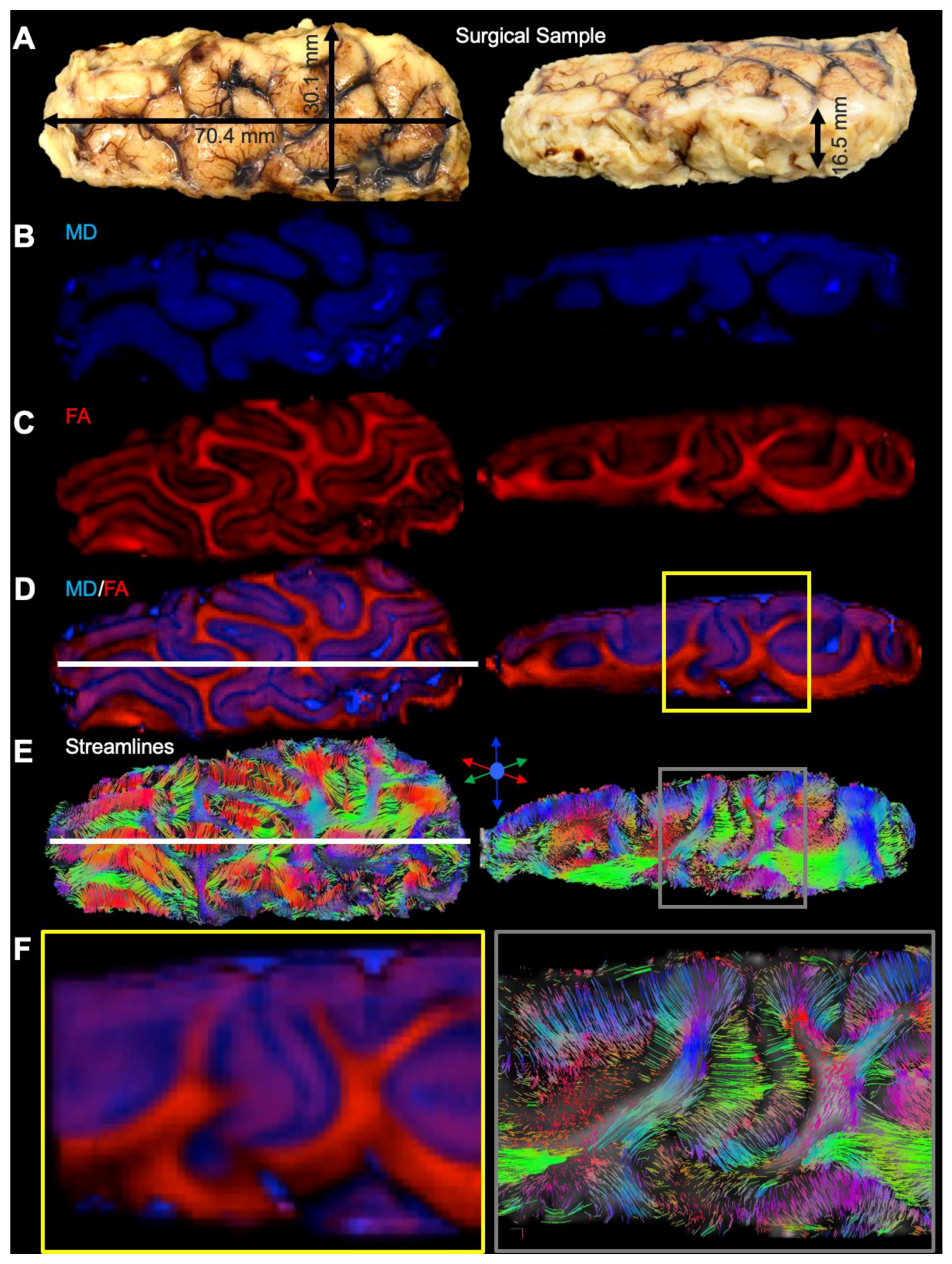 Diagnostics 13 01529 g005 Diagnostics 13 01529 g005