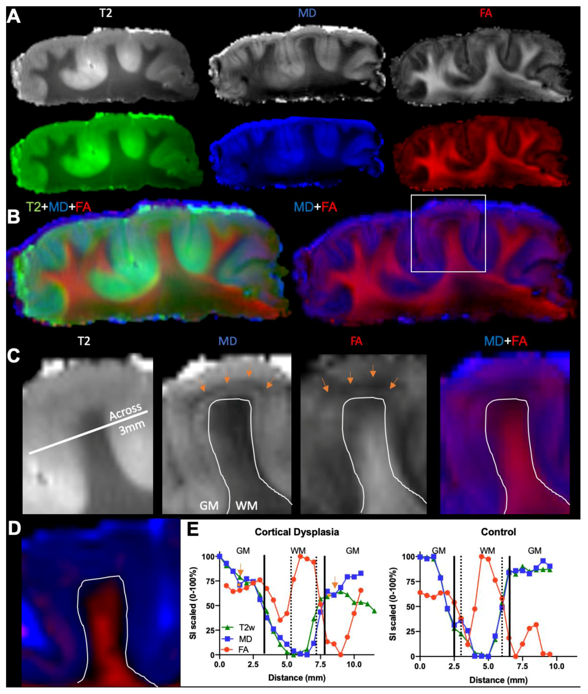 Diagnostics 13 01529 g007 Diagnostics 13 01529 g007