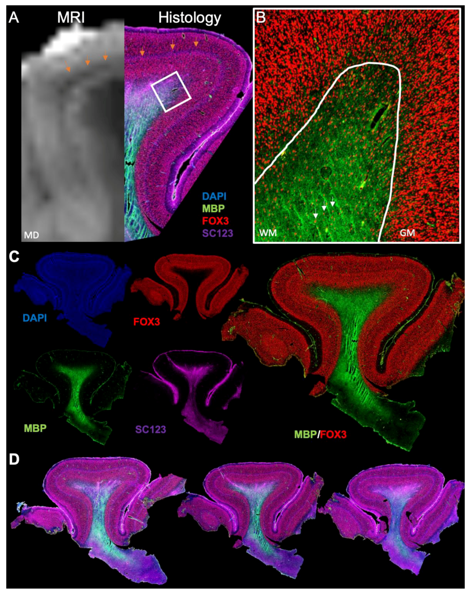 Diagnostics 13 01529 g008 Diagnostics 13 01529 g008